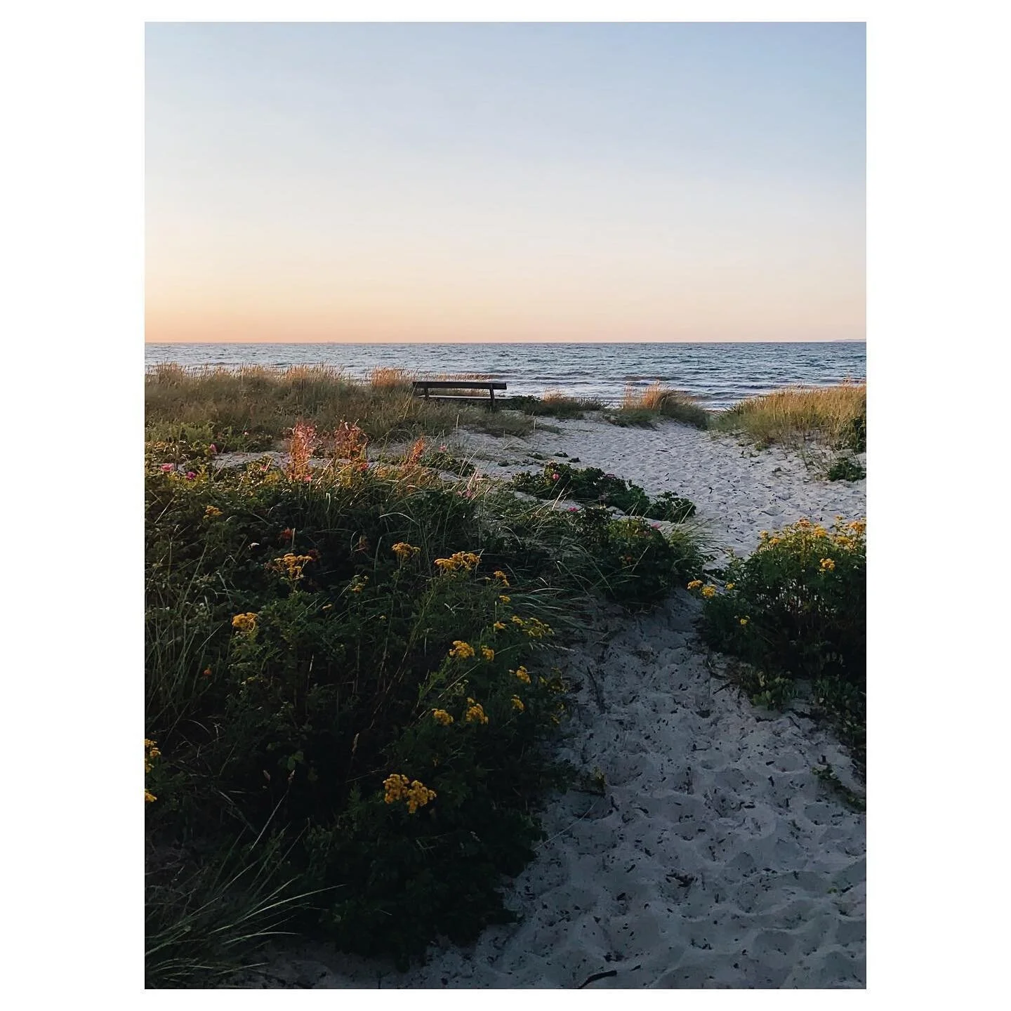 Vores dejlige plet | #hornb&aelig;kstrand 

#sommeraftener #august #hornb&aelig;k