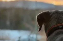 Winter and a New Year