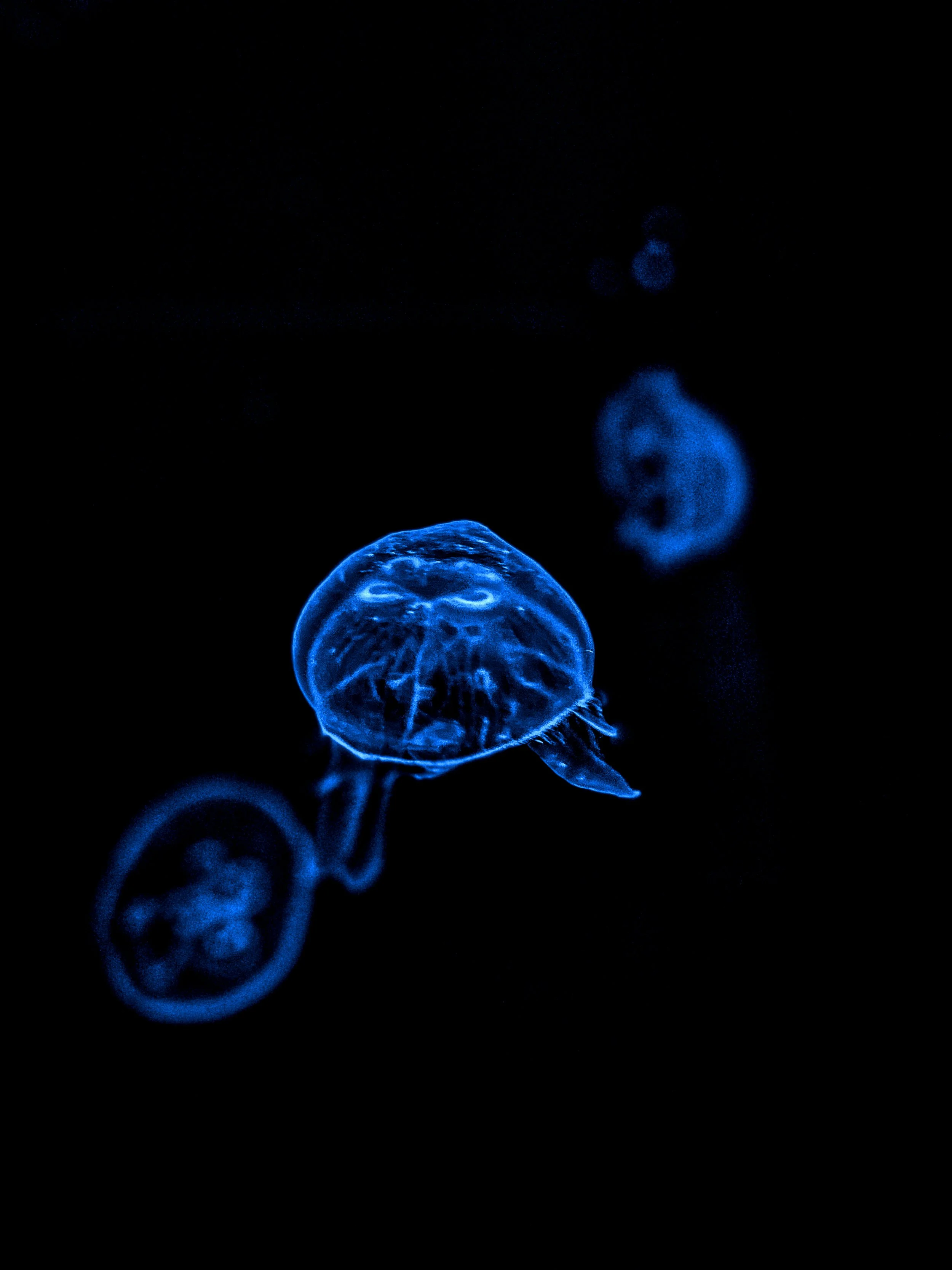 sergio-mena-ferreira-175YE6vTPwo-unsplash.jpg