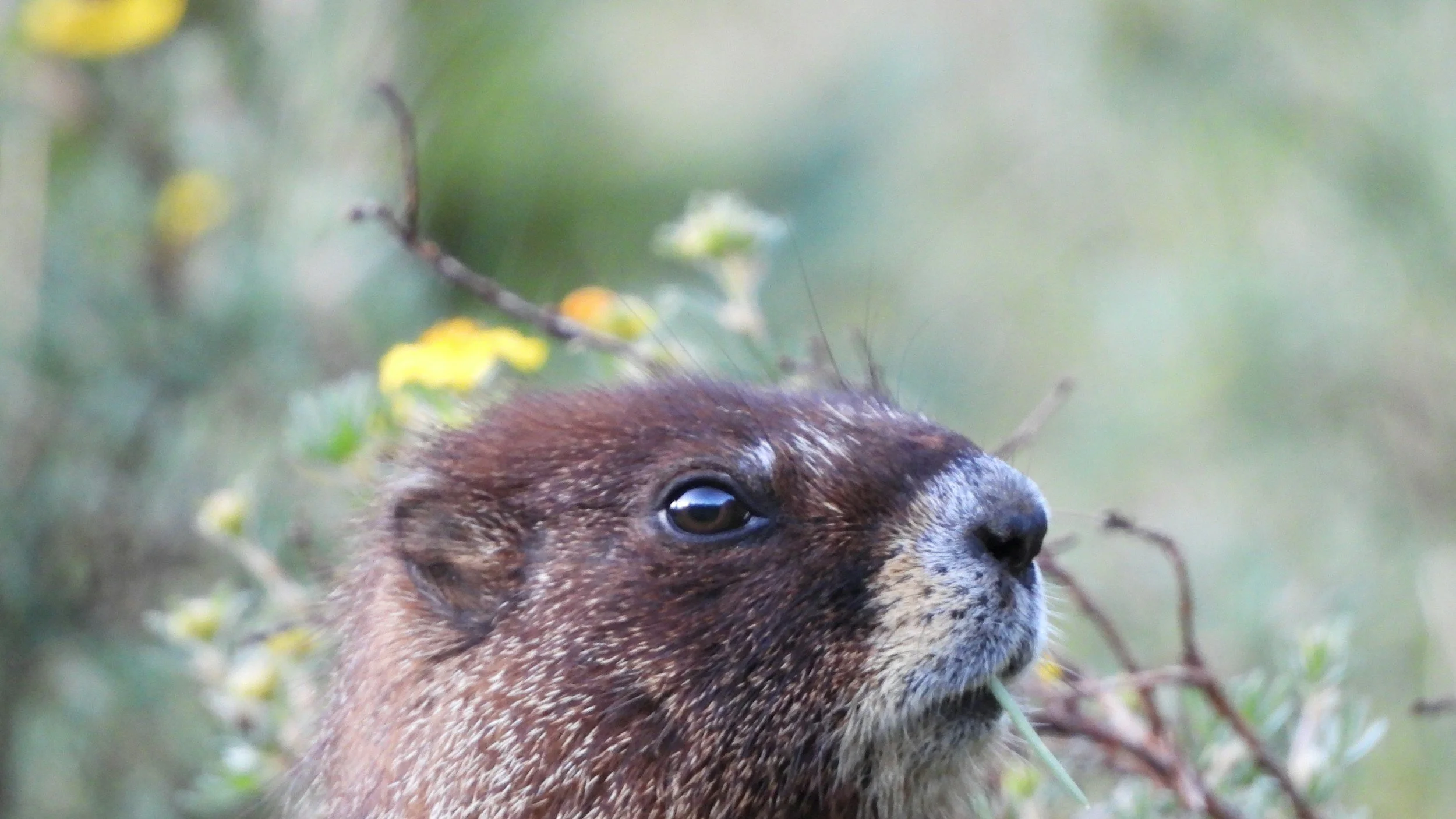 The Groundhog Day Problem: Why Waiting for Change Keeps You Stuck