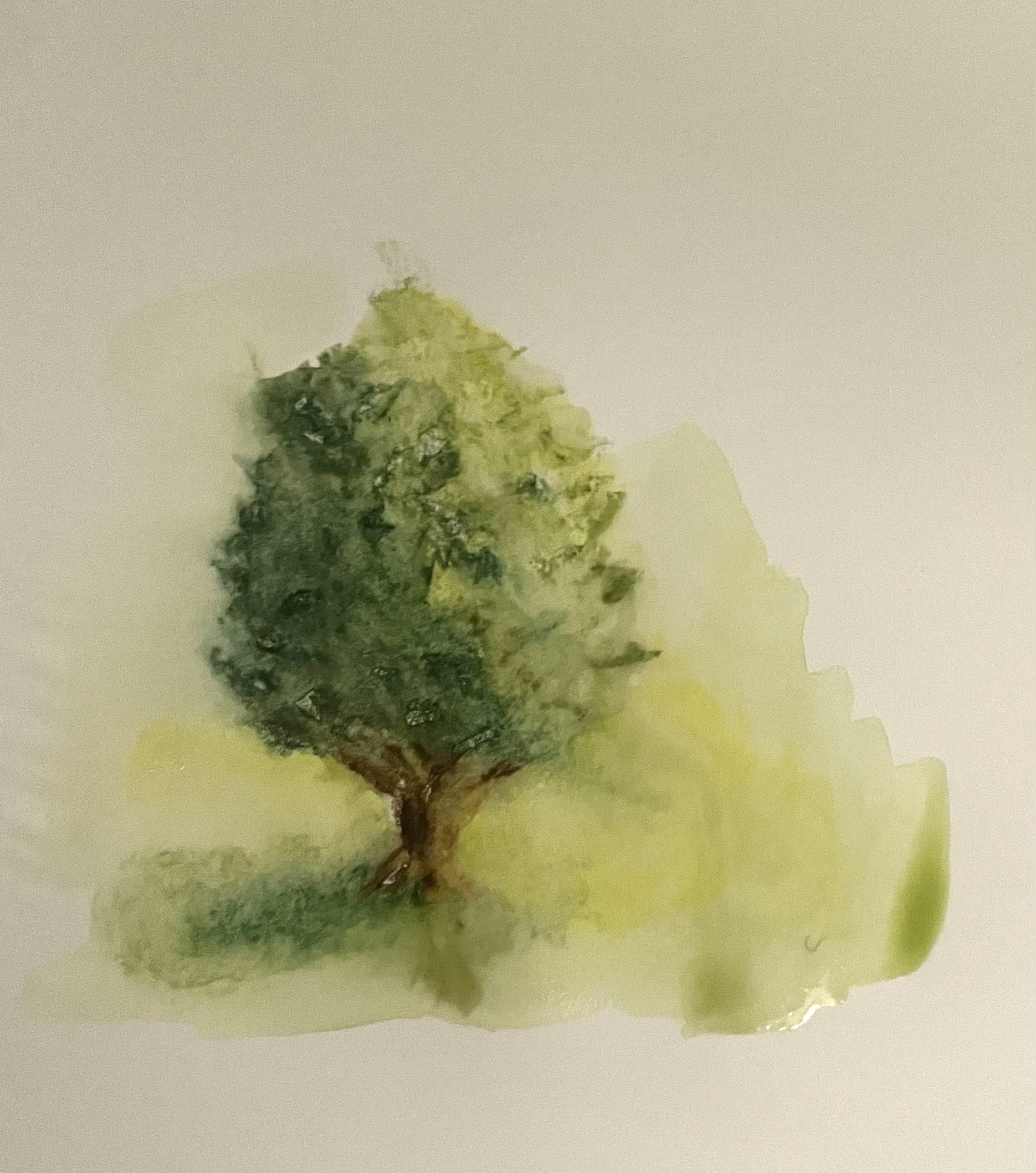Tree.jpeg