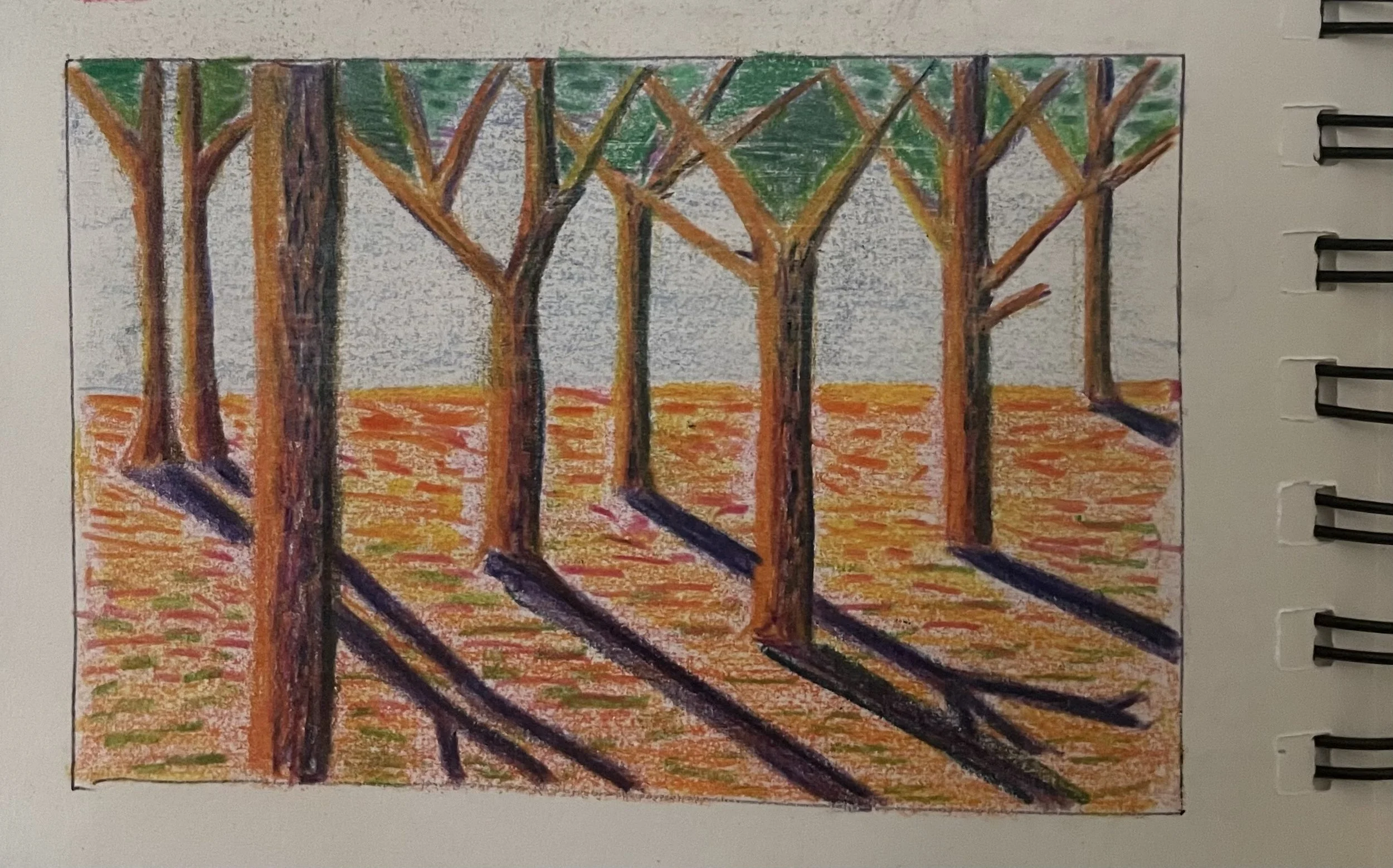 Sketch 2.jpeg