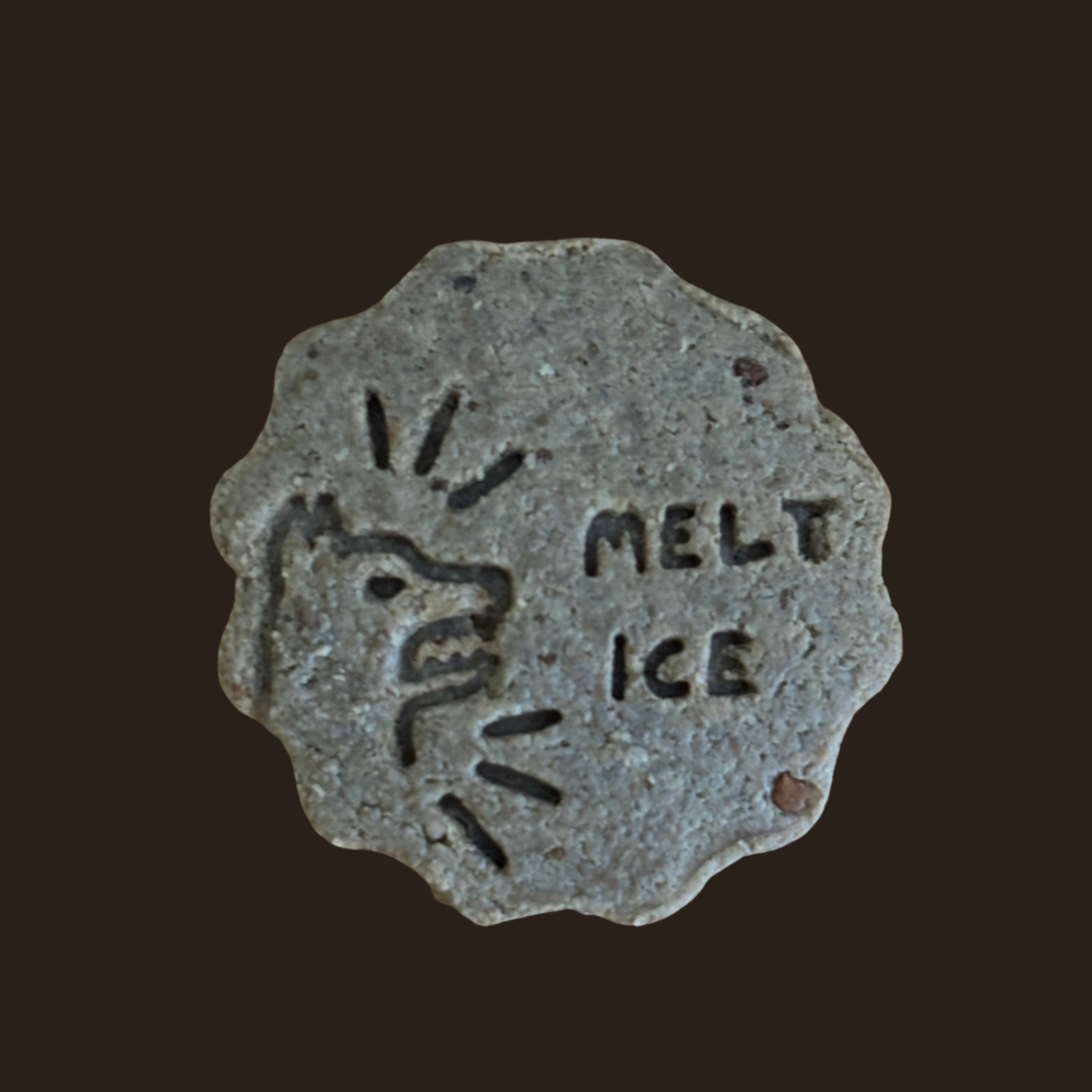 Melt Ice Snactivist Cookie