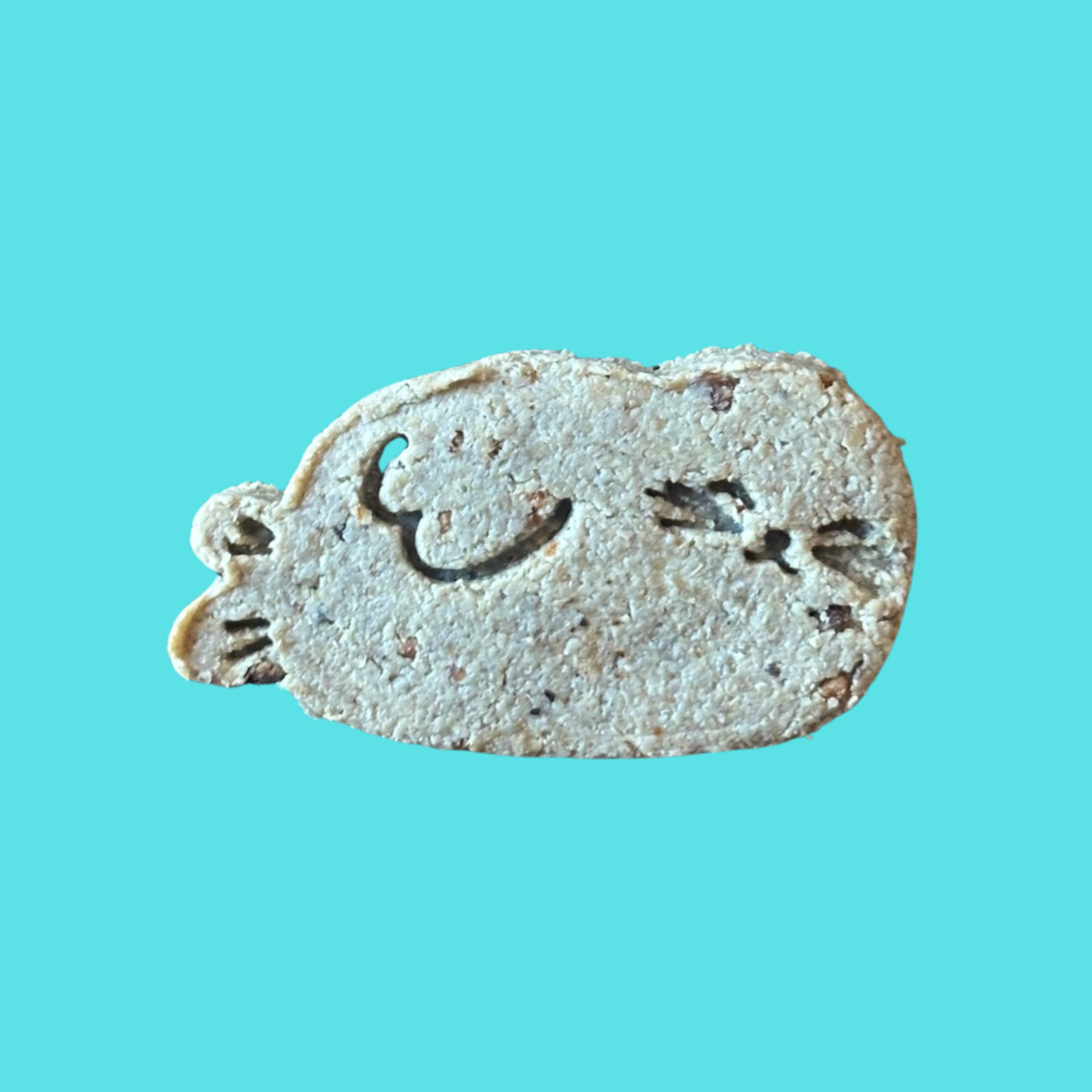Stephen The Seal Cookie