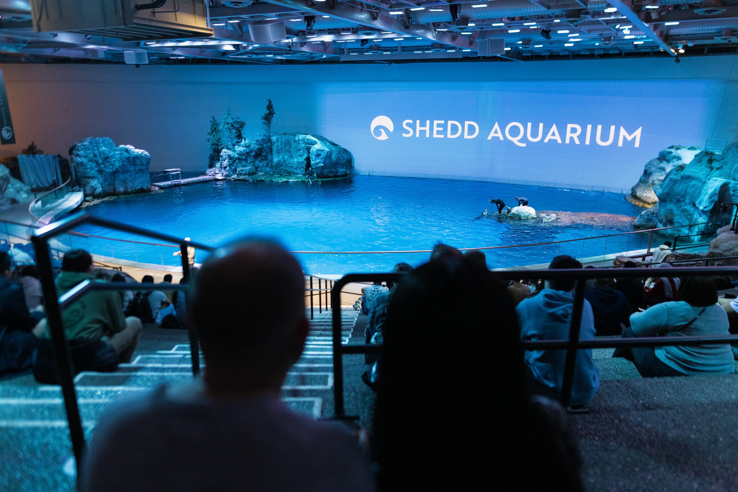 Alex Maldonado Photography Chicago Wedding Photographer Shedd Aquarium Rookery Building-19313.jpg