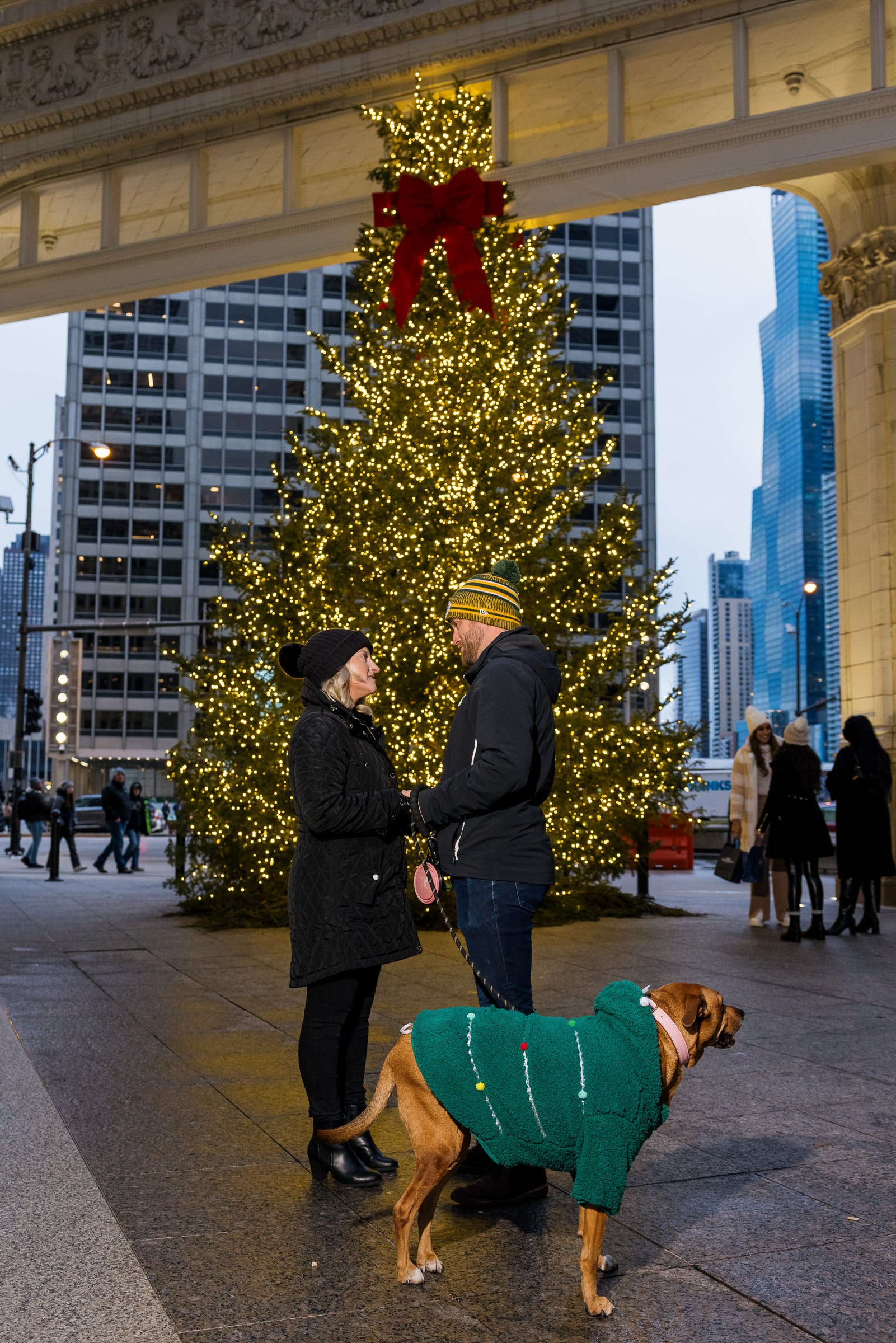 231229 Alex Maldonado Photography Chicago Wedding Photographer Christmas tree-2.jpg