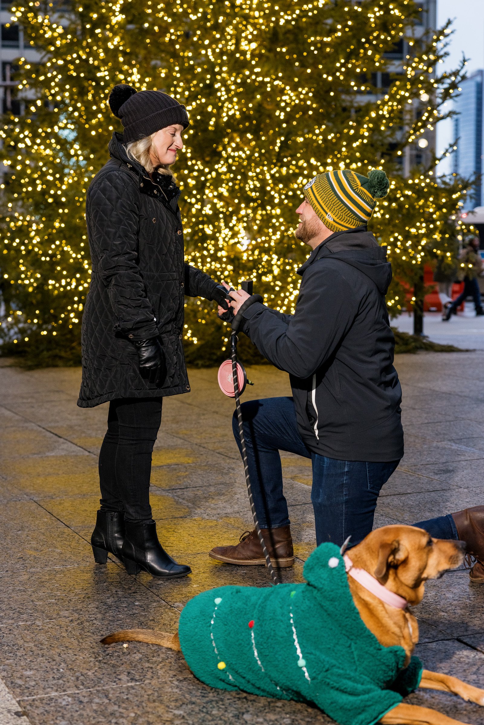 231229 Alex Maldonado Photography Chicago Wedding Photographer Christmas tree-5.jpg