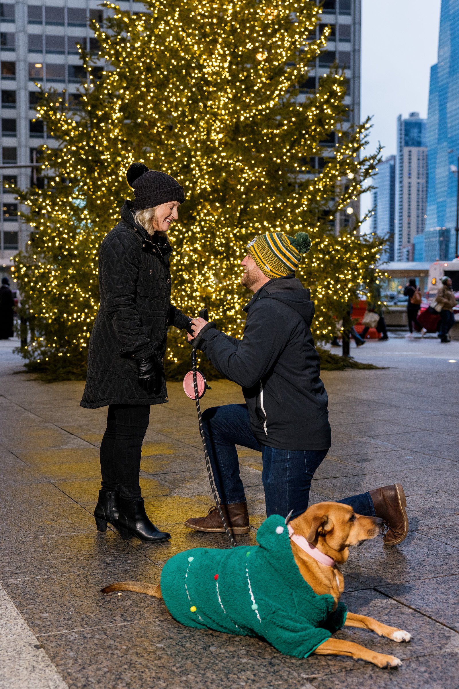 231229 Alex Maldonado Photography Chicago Wedding Photographer Christmas tree-7.jpg