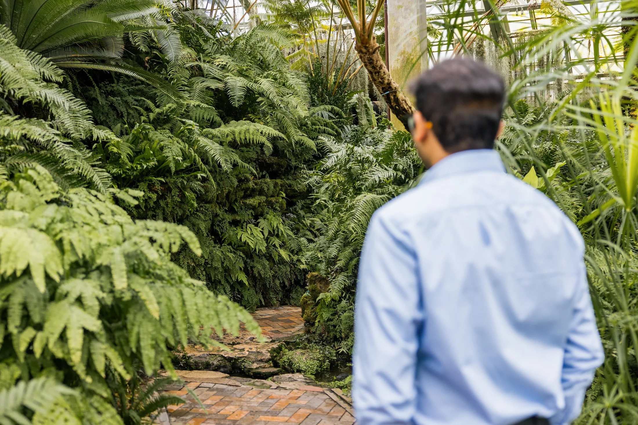 Alex Maldonado Photography Chicago Wedding Photographer241129-1.jpg