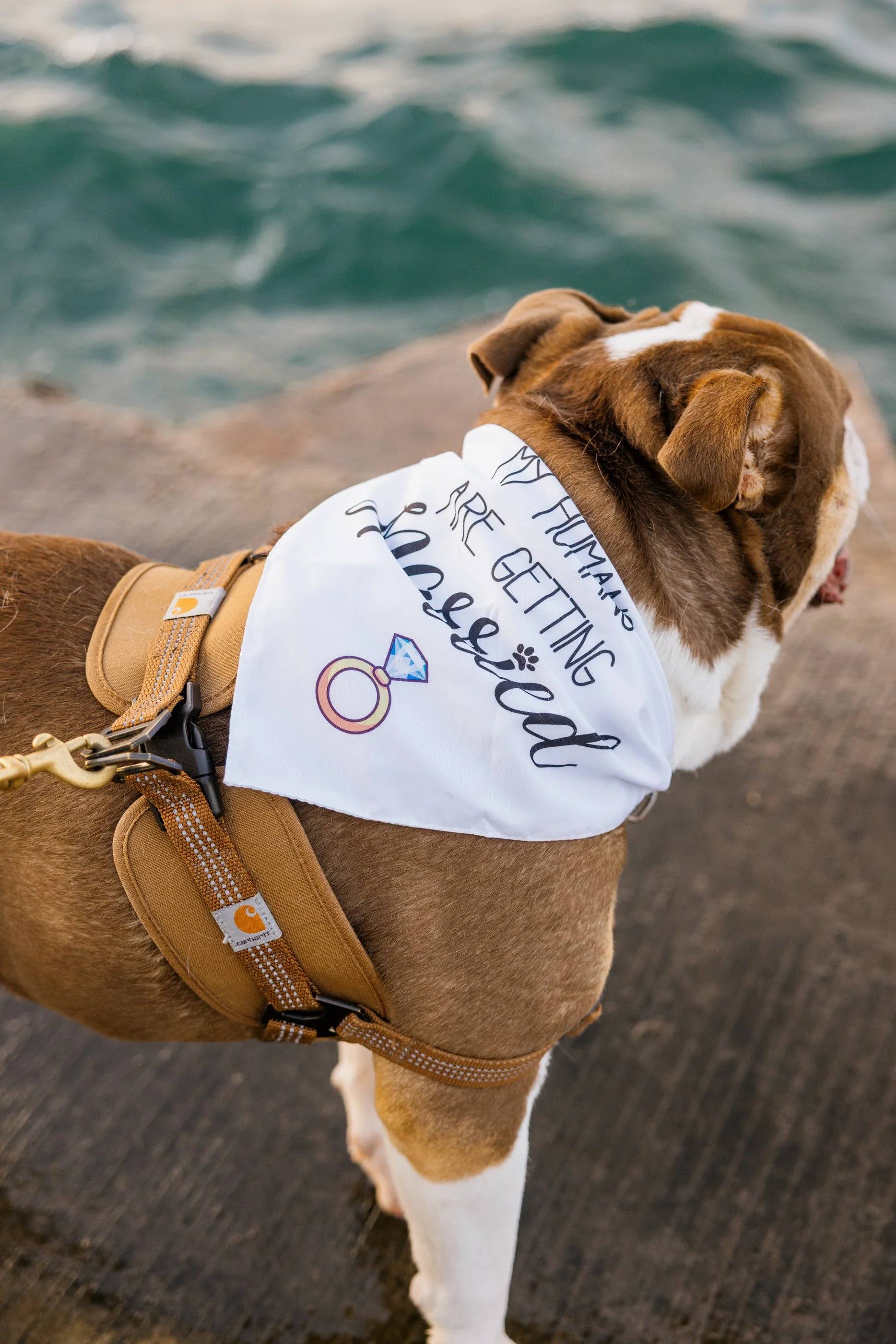 Alex Maldonado Photography-250808-28.jpg