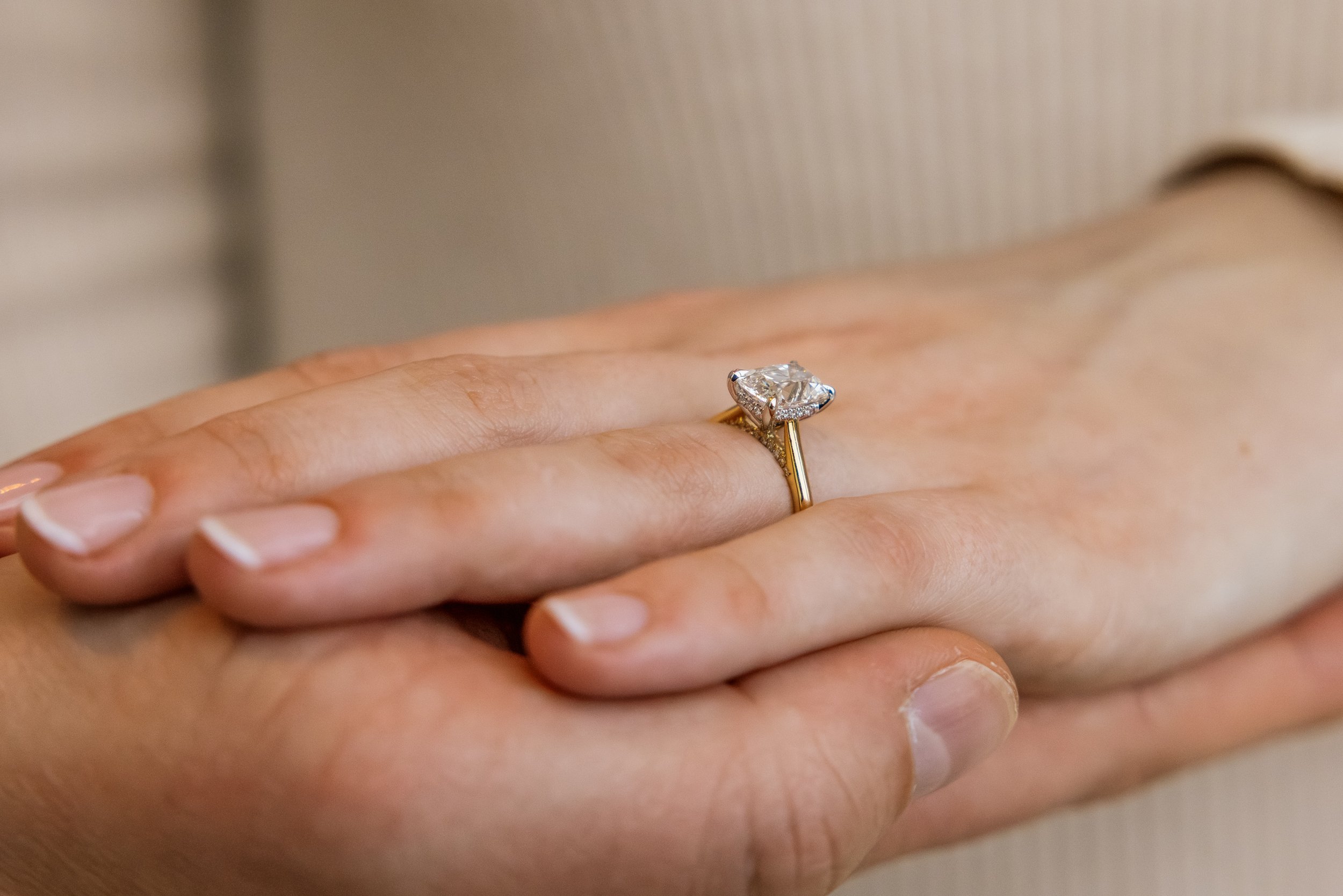 Alex Maldonado Photography-251213-21.jpg