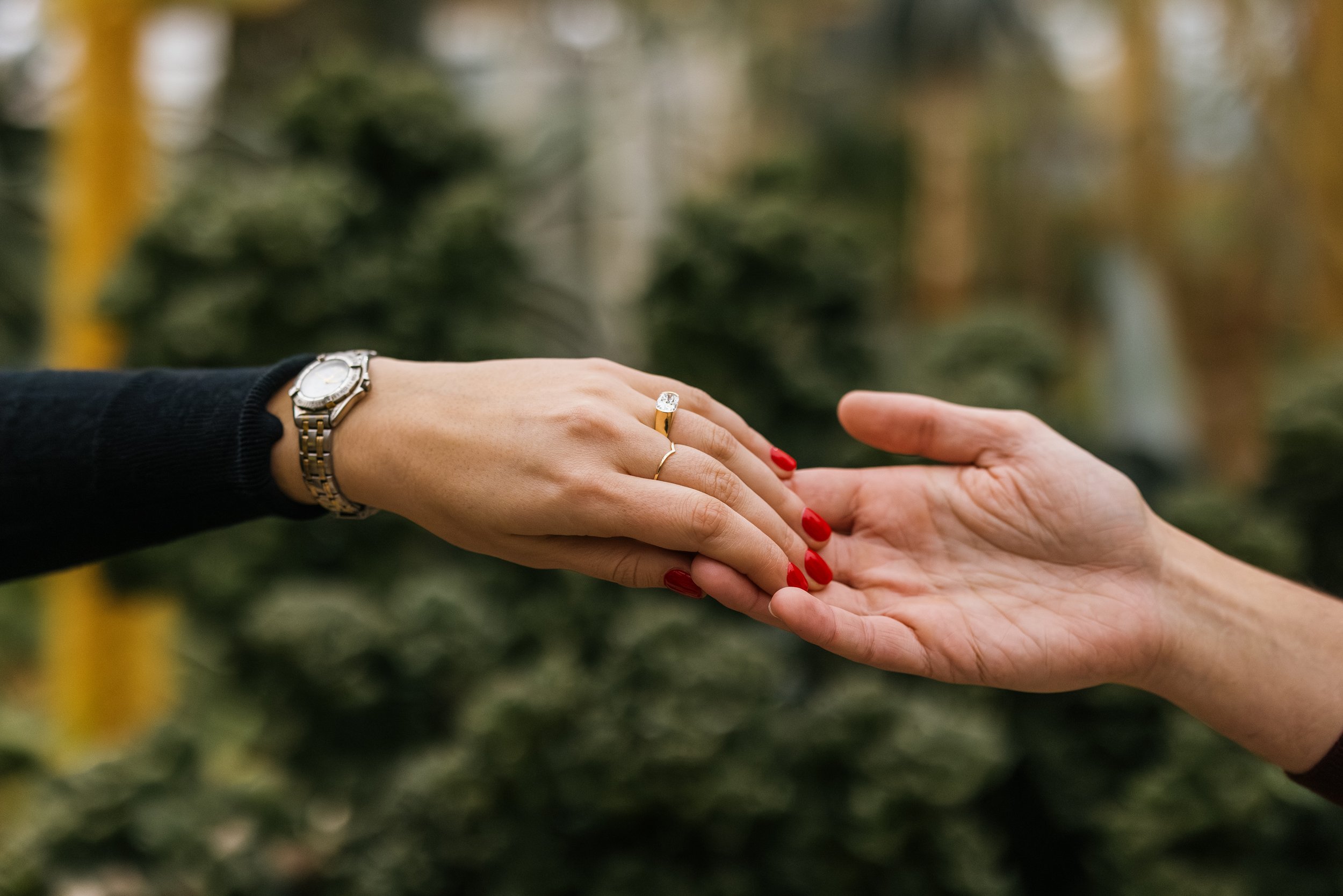 Alex Maldonado Photography-251213-18.jpg