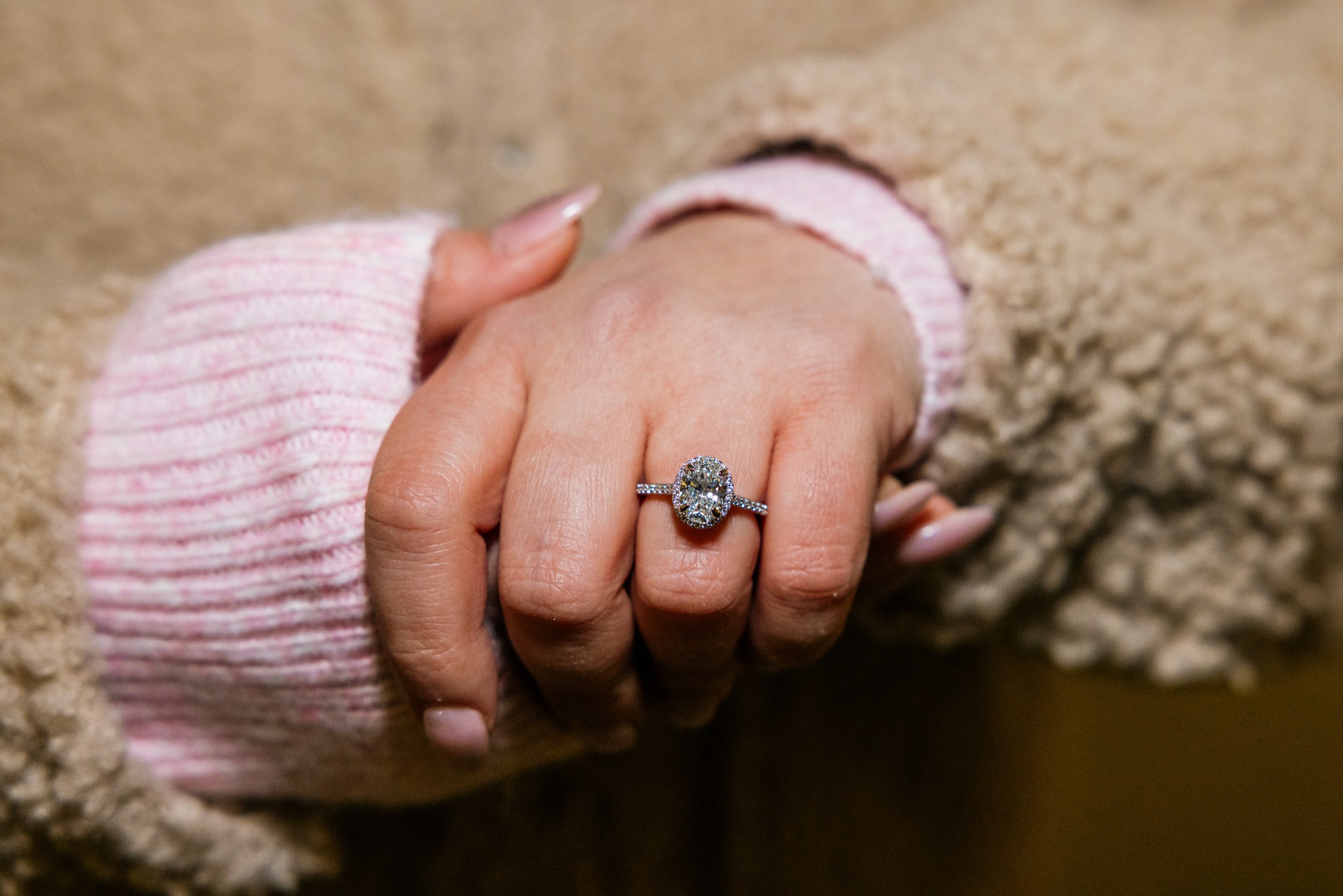 Alex Maldonado Photography-251214-19.jpg