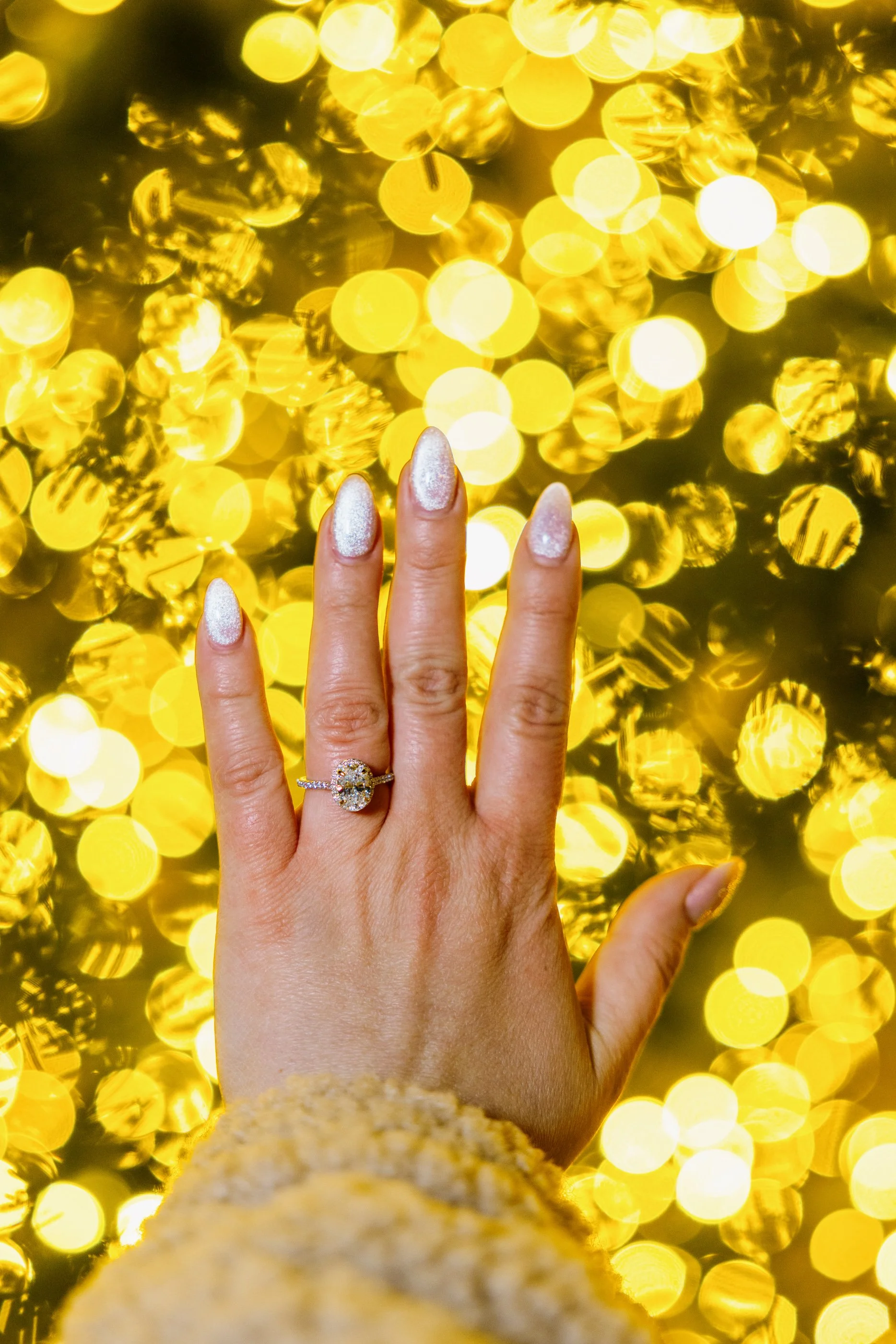 Alex Maldonado Photography-251214-38.jpg