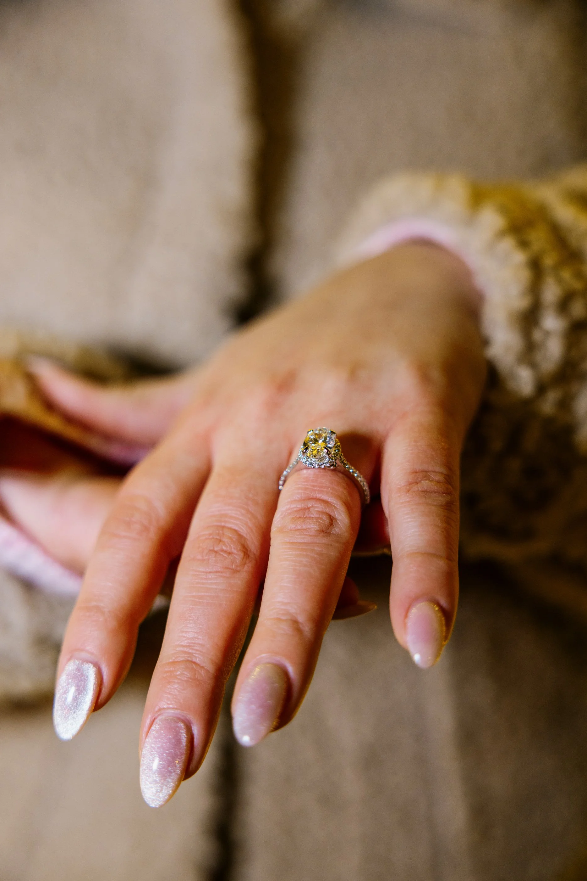 Alex Maldonado Photography-251214-39.jpg