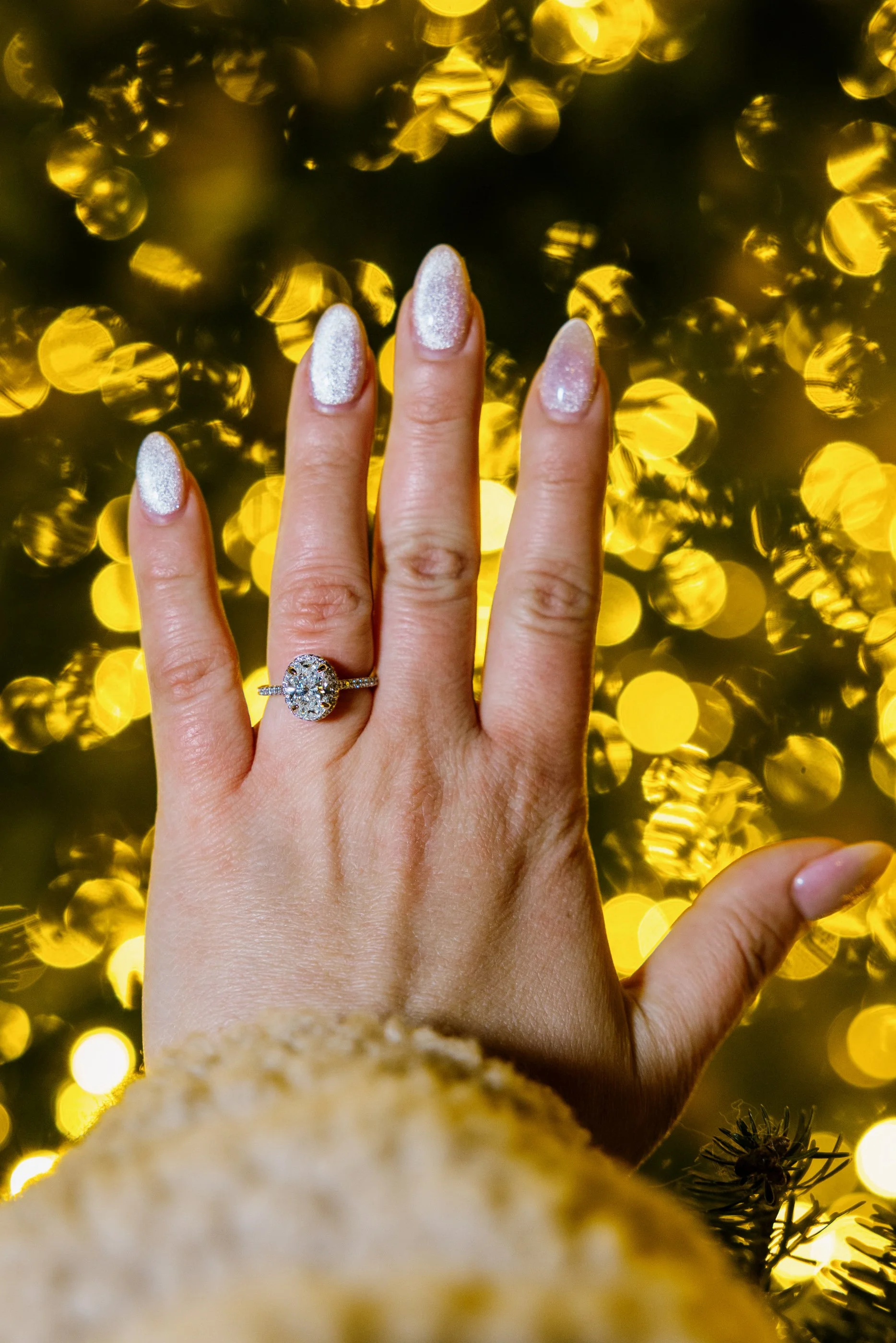 Alex Maldonado Photography-251214-42.jpg