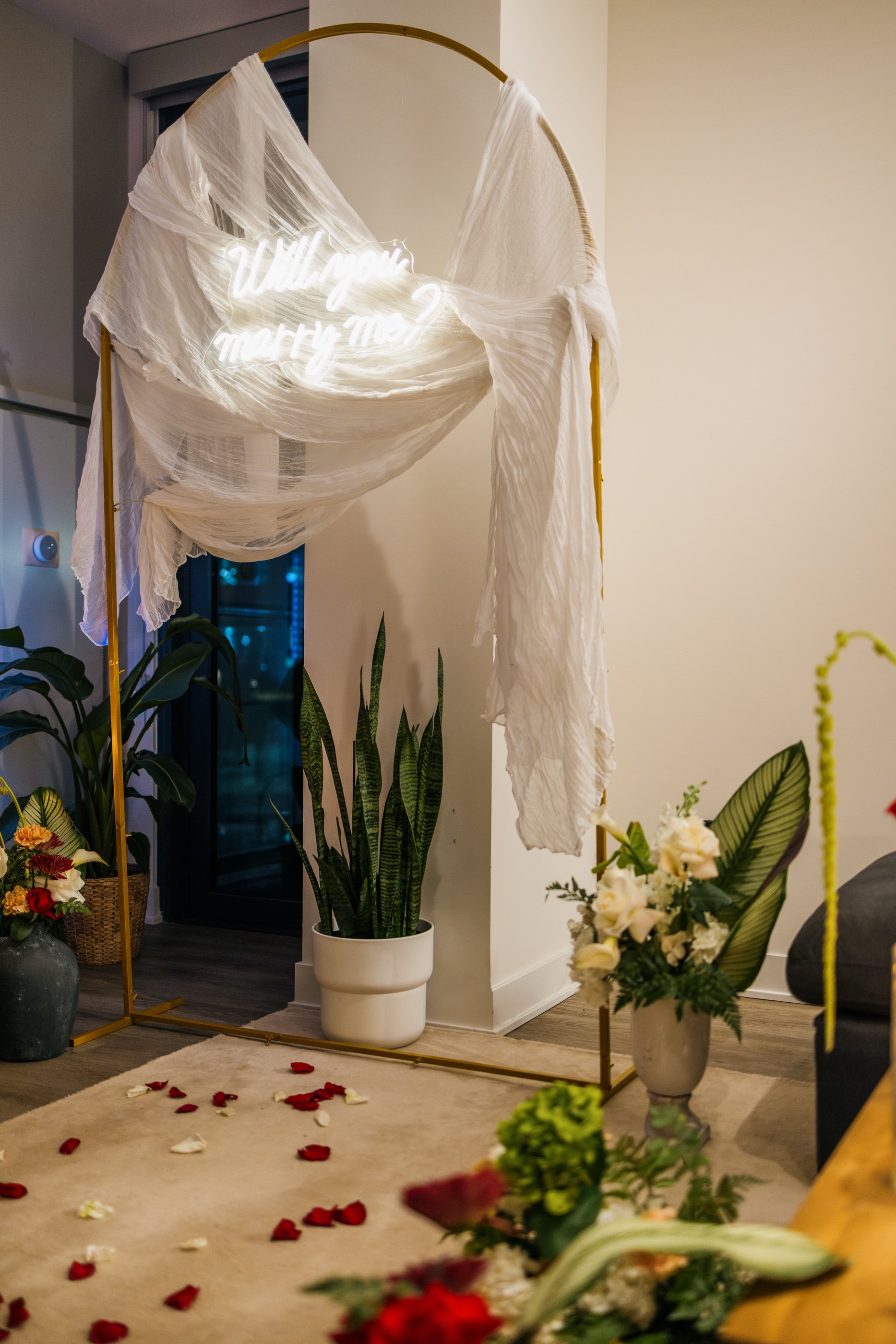 Alex Maldonado Photography-251216-2.jpg