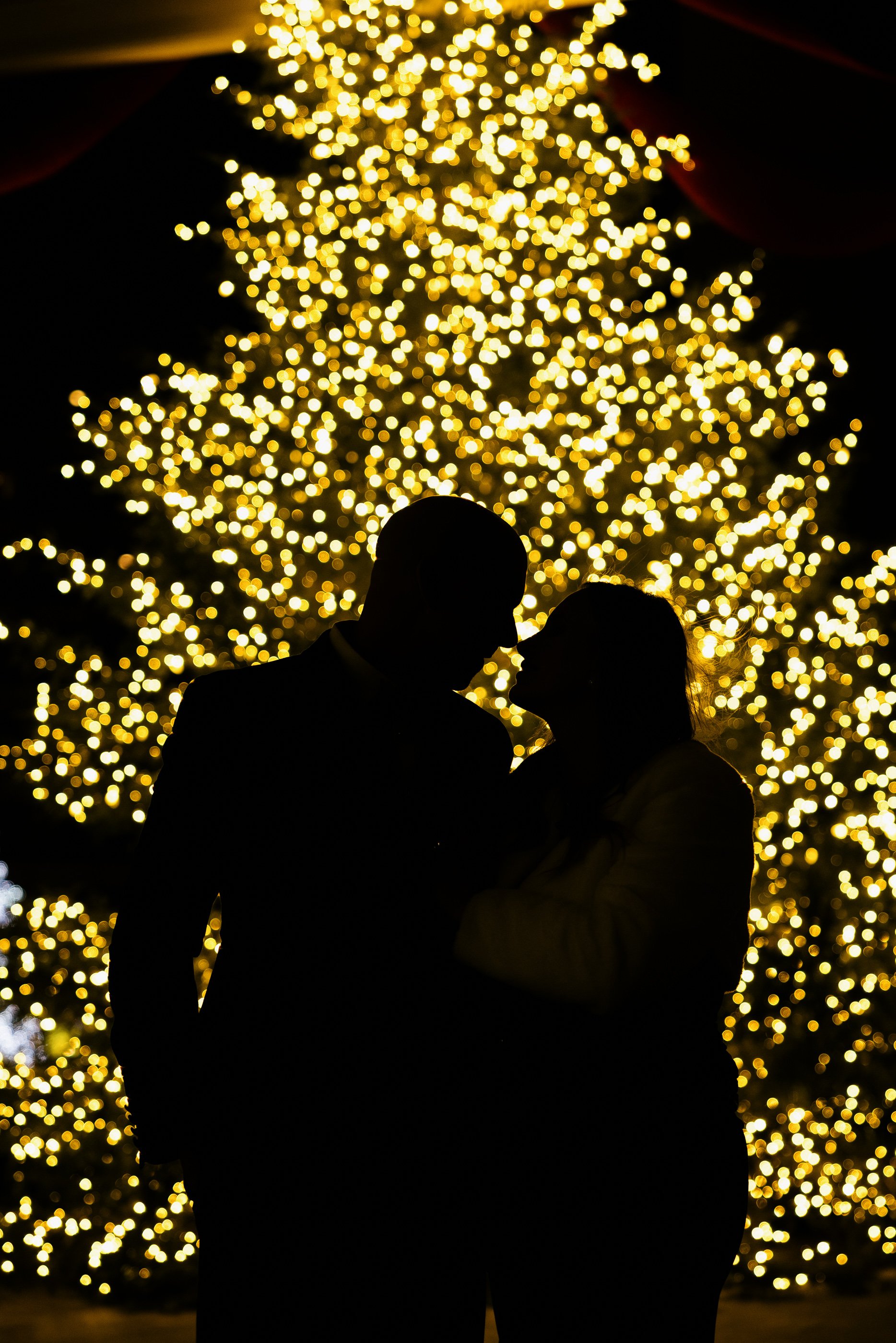 Alex Maldonado Photography-251227-35.jpg