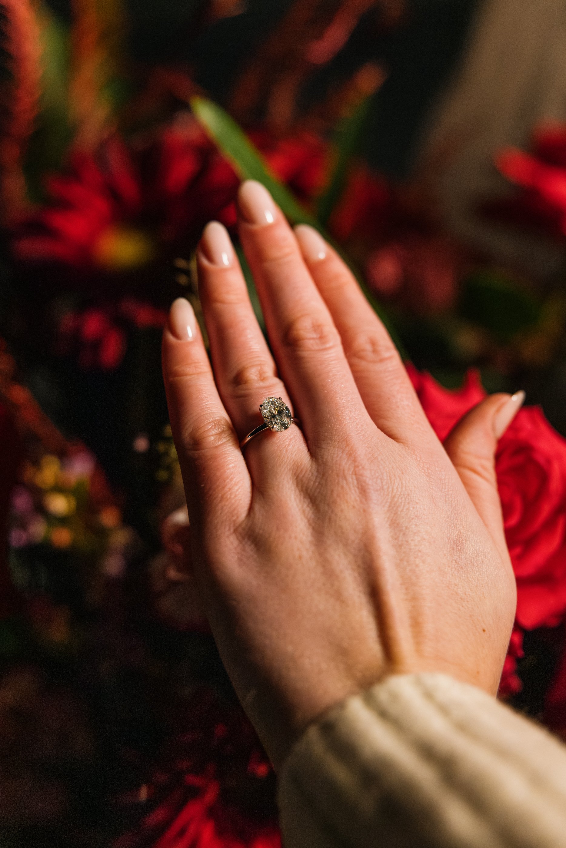 Alex Maldonado Photography-260116-20.jpg