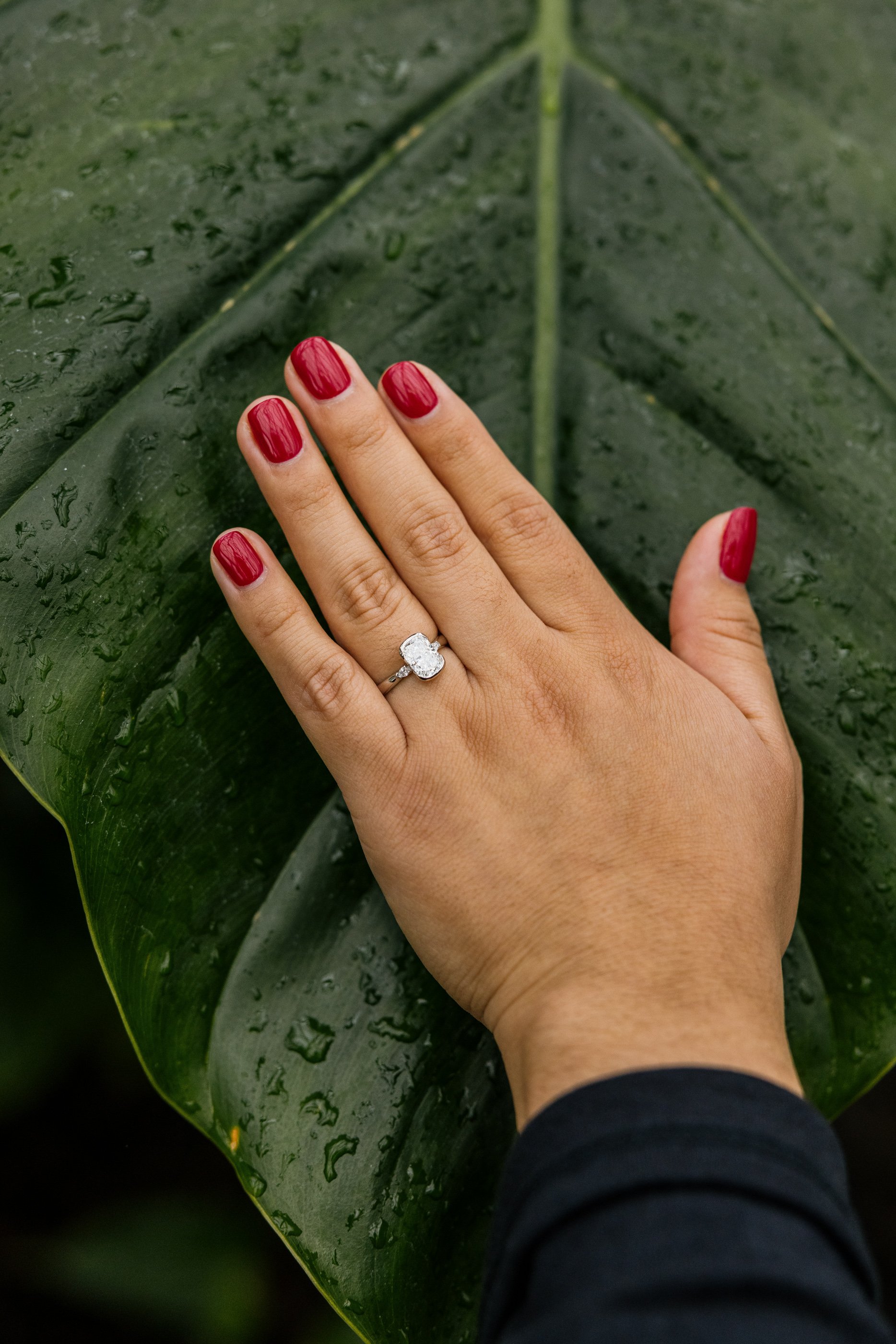 Alex Maldonado Photography-260221-18.jpg