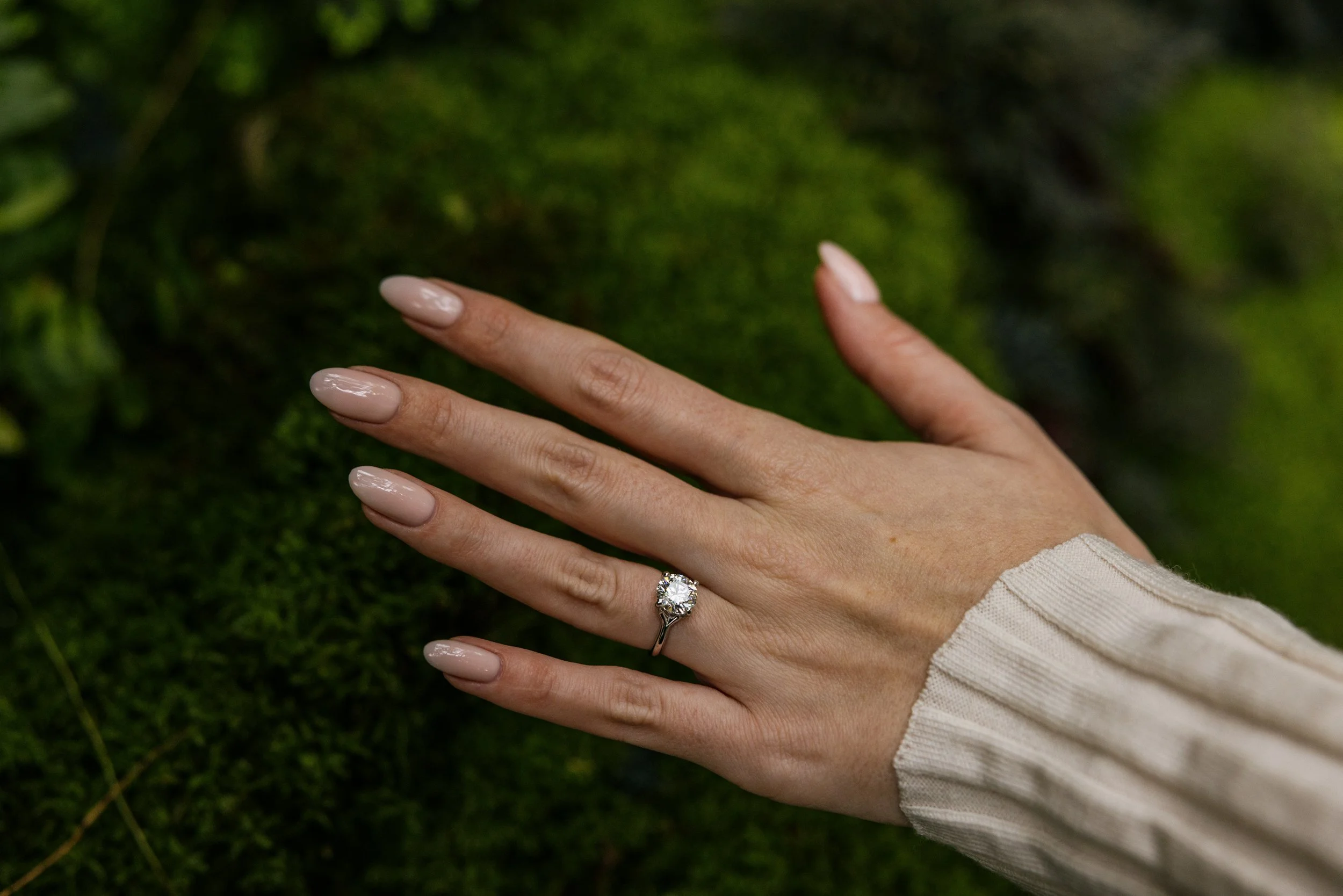 Alex Maldonado Photography-260228-18.jpg