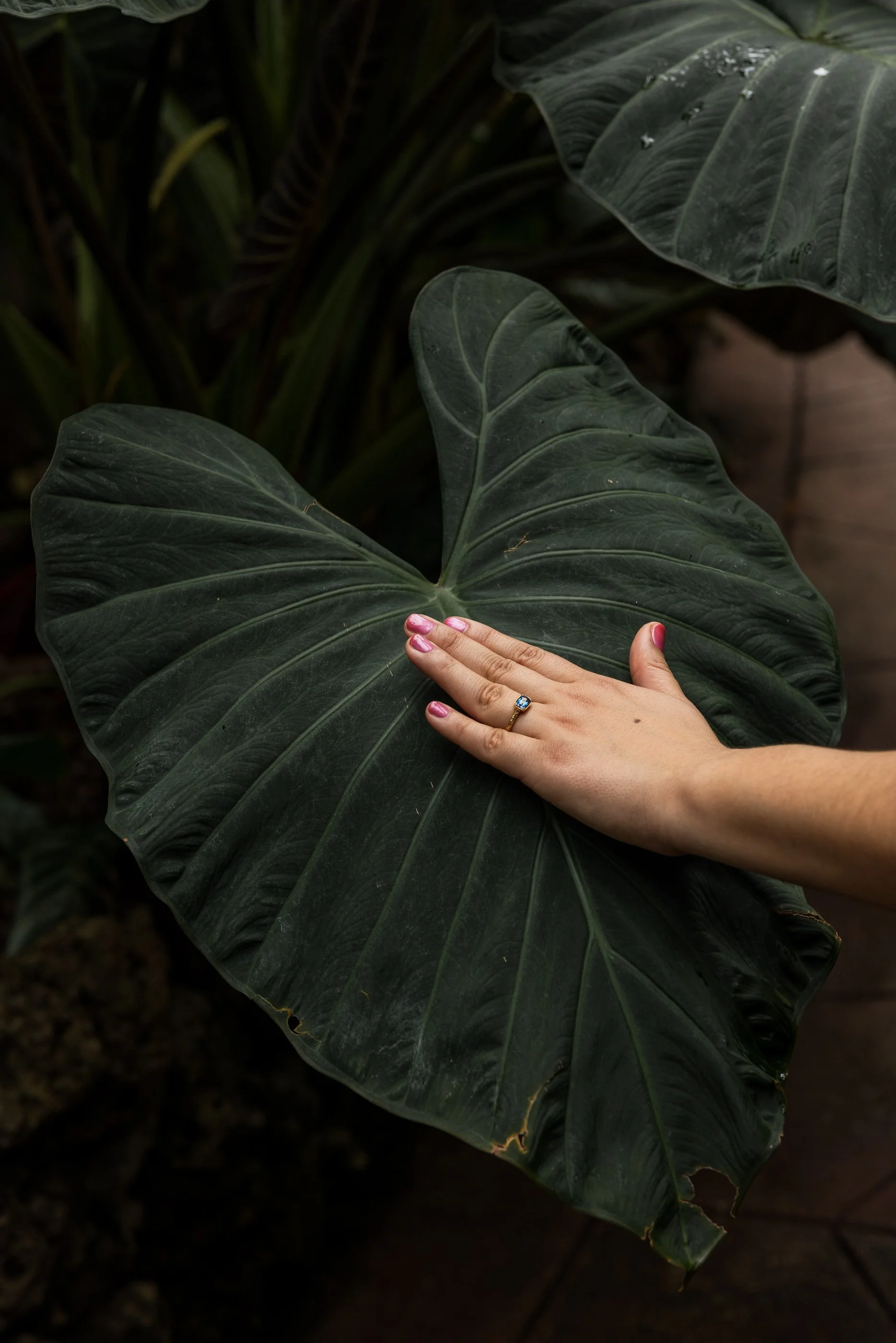 Alex Maldonado Photography-260402-44.jpg