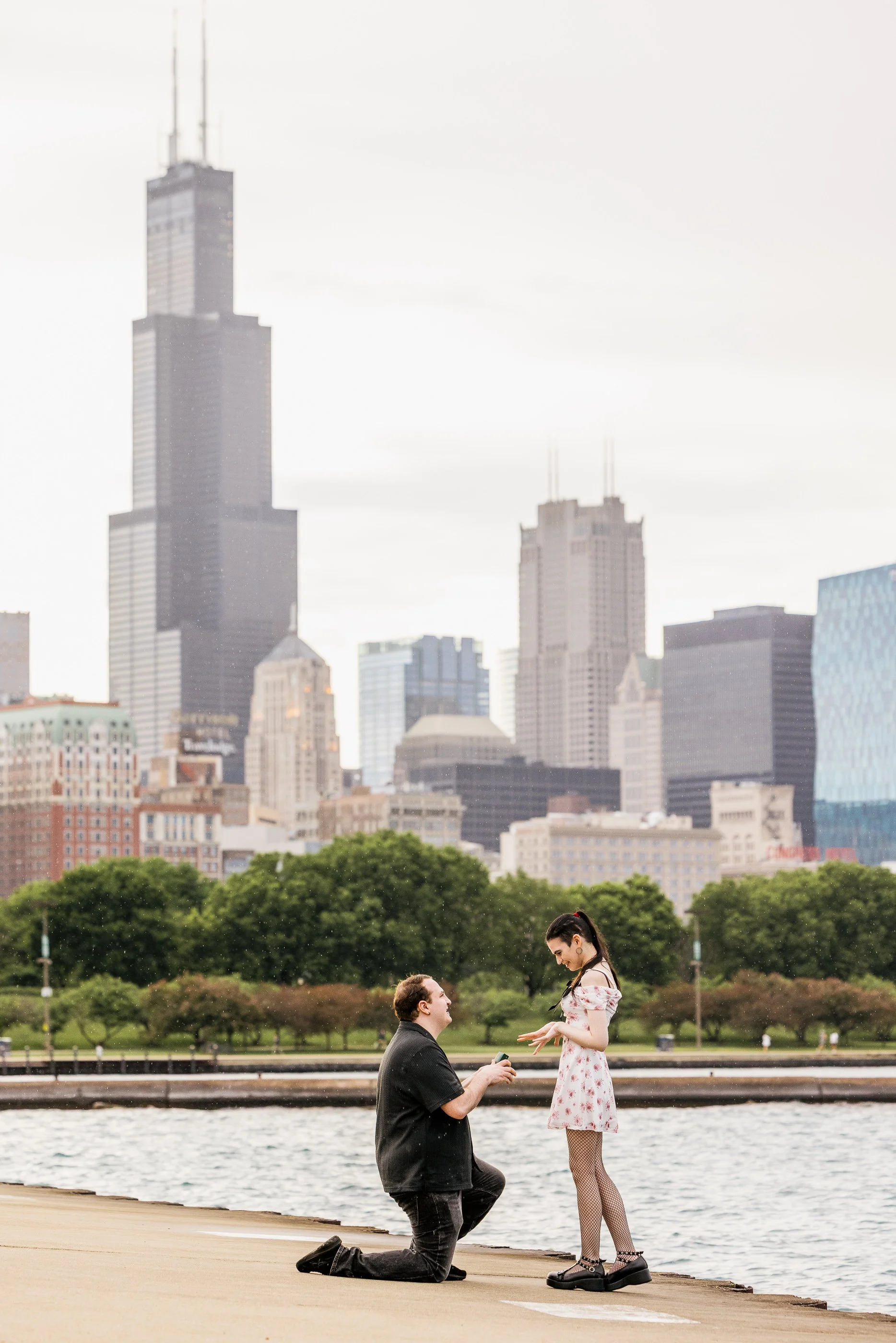 Alex Maldonado Photography- Museum Campus Proposal Shedd aquarium 260608-6.jpg