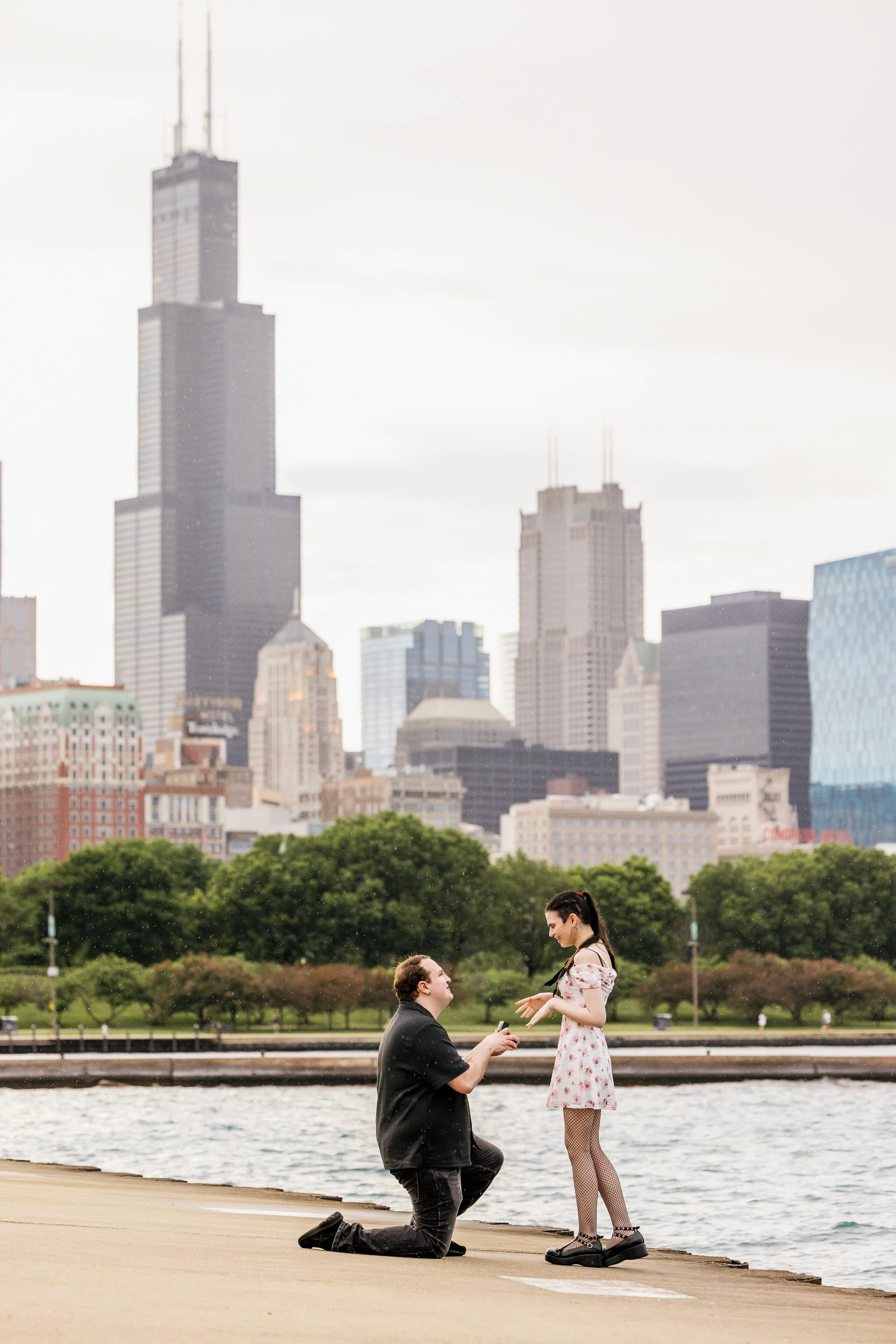 Alex Maldonado Photography- Museum Campus Proposal Shedd aquarium 260608-7.jpg