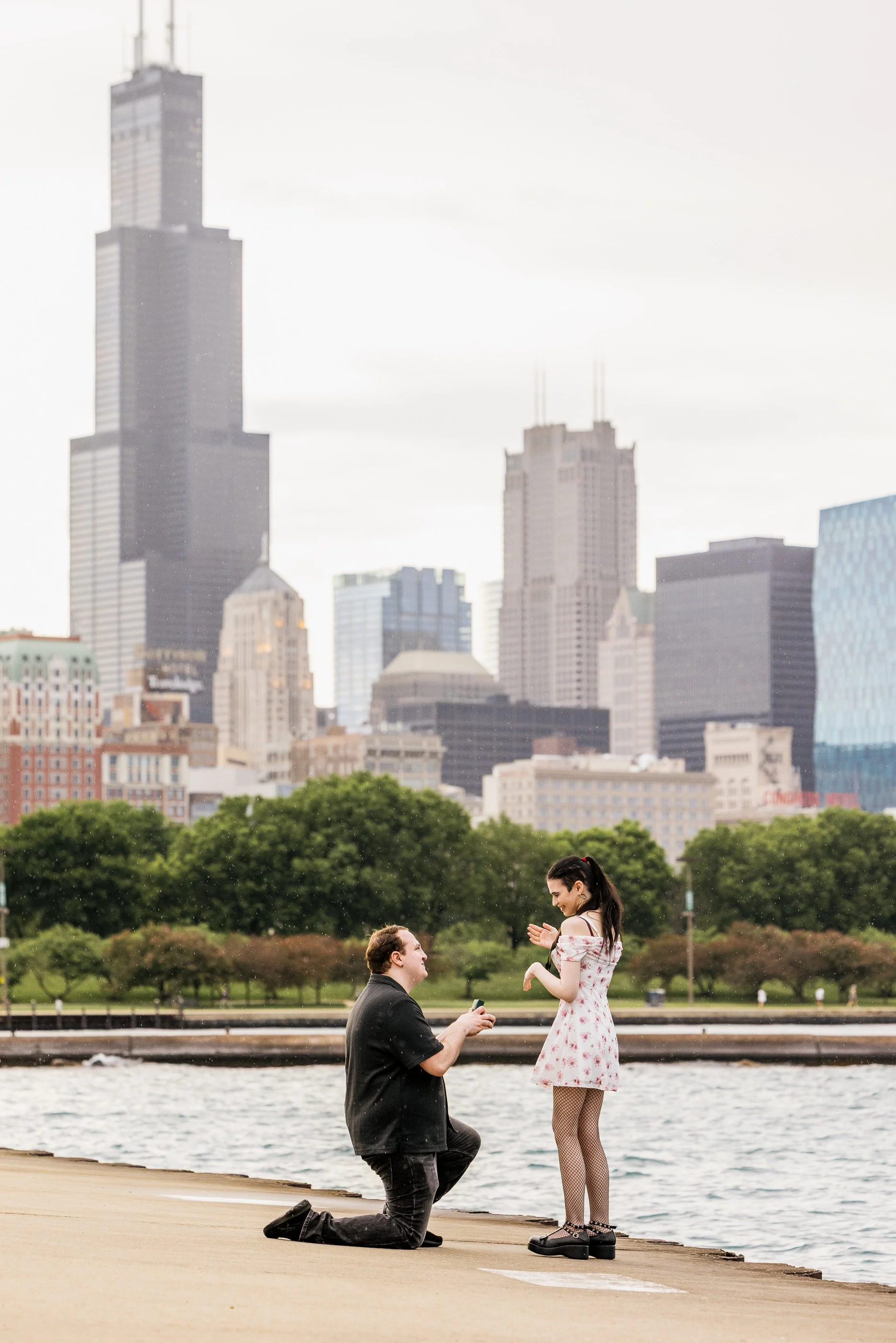 Alex Maldonado Photography- Museum Campus Proposal Shedd aquarium 260608-8.jpg
