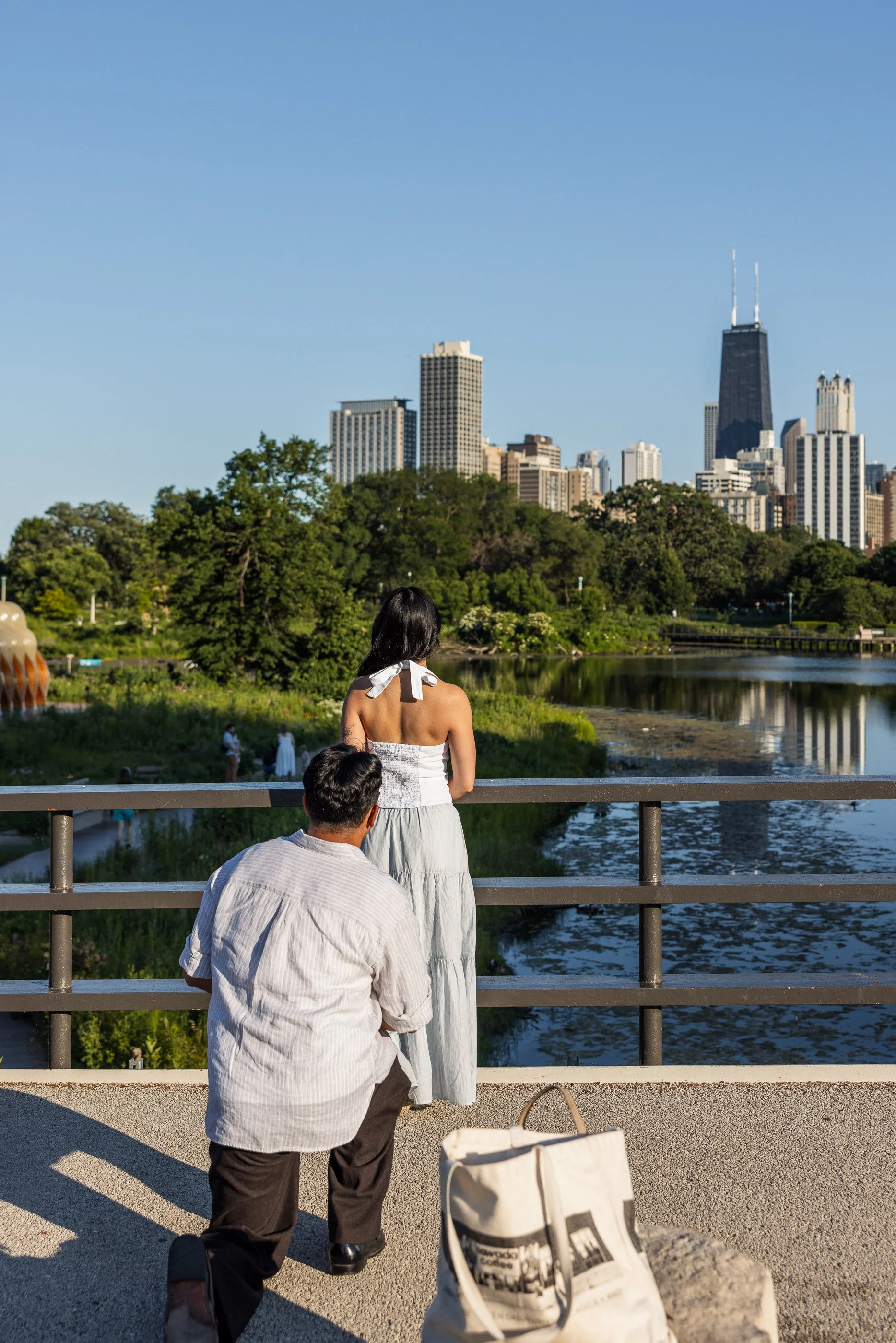 Alex Maldonado Photography-Lincoln-Park-Propsal-summer-goldenhour 260623-2.jpg