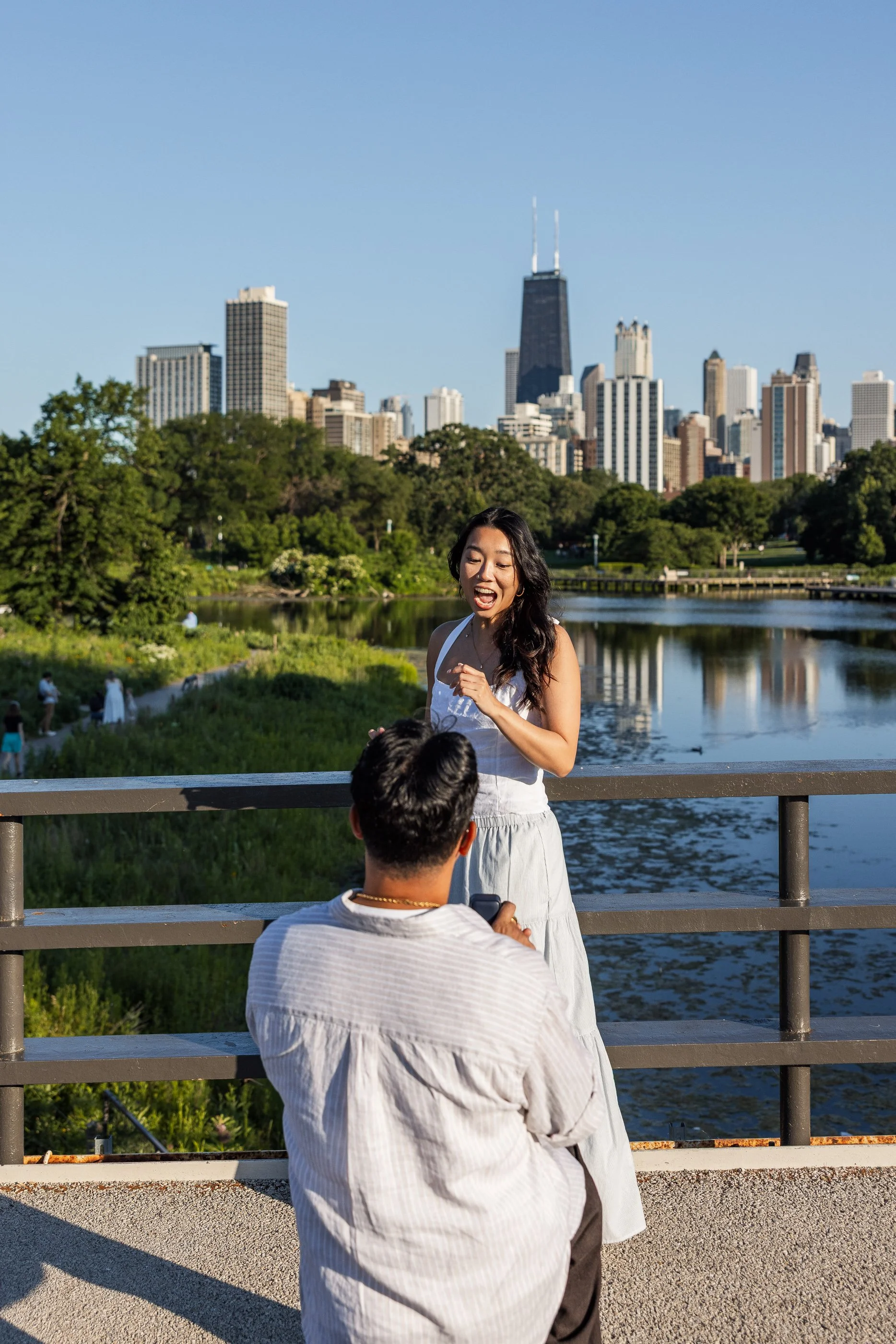 Alex Maldonado Photography-Lincoln-Park-Propsal-summer-goldenhour 260623-4.jpg