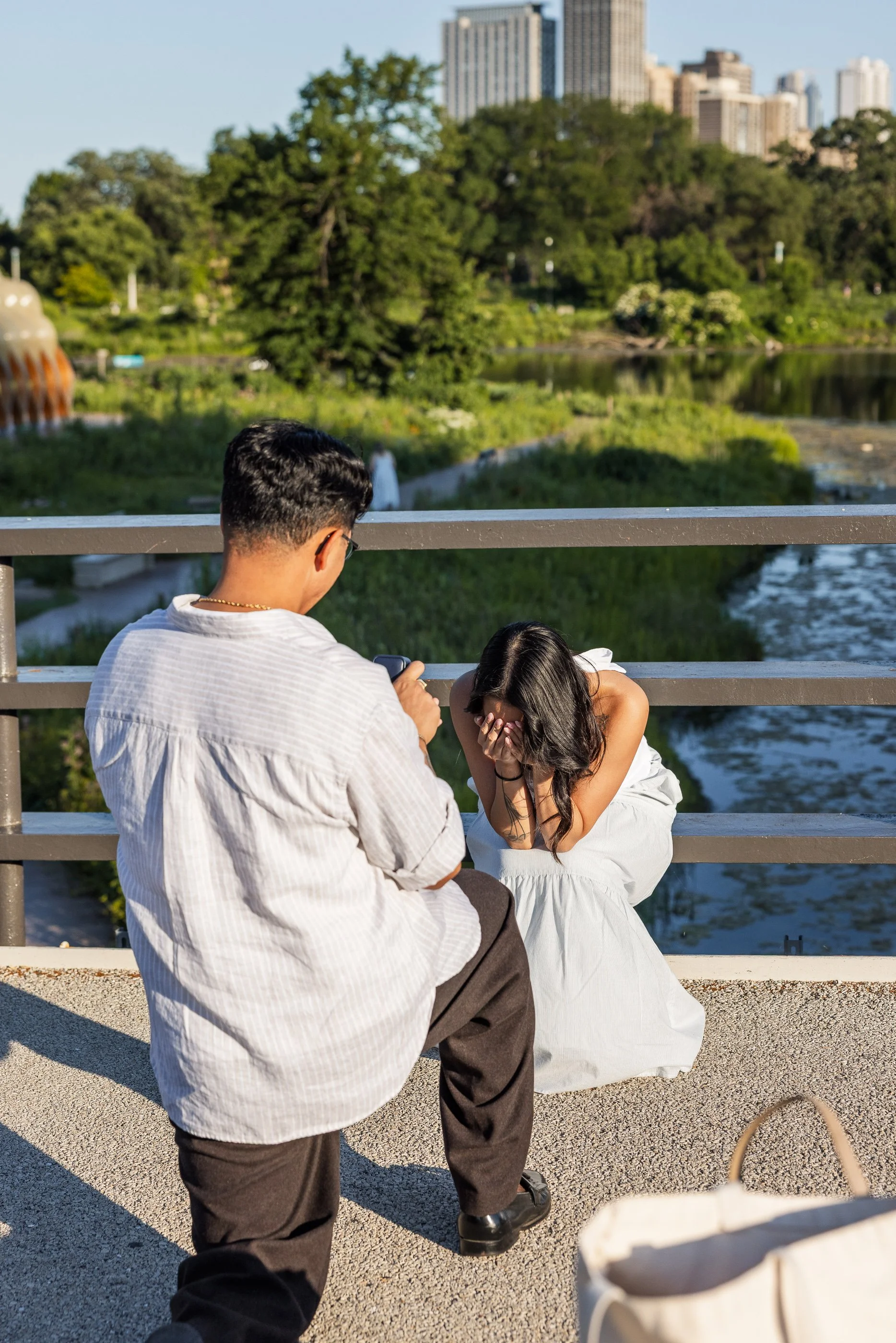 Alex Maldonado Photography-Lincoln-Park-Propsal-summer-goldenhour 260623-7.jpg