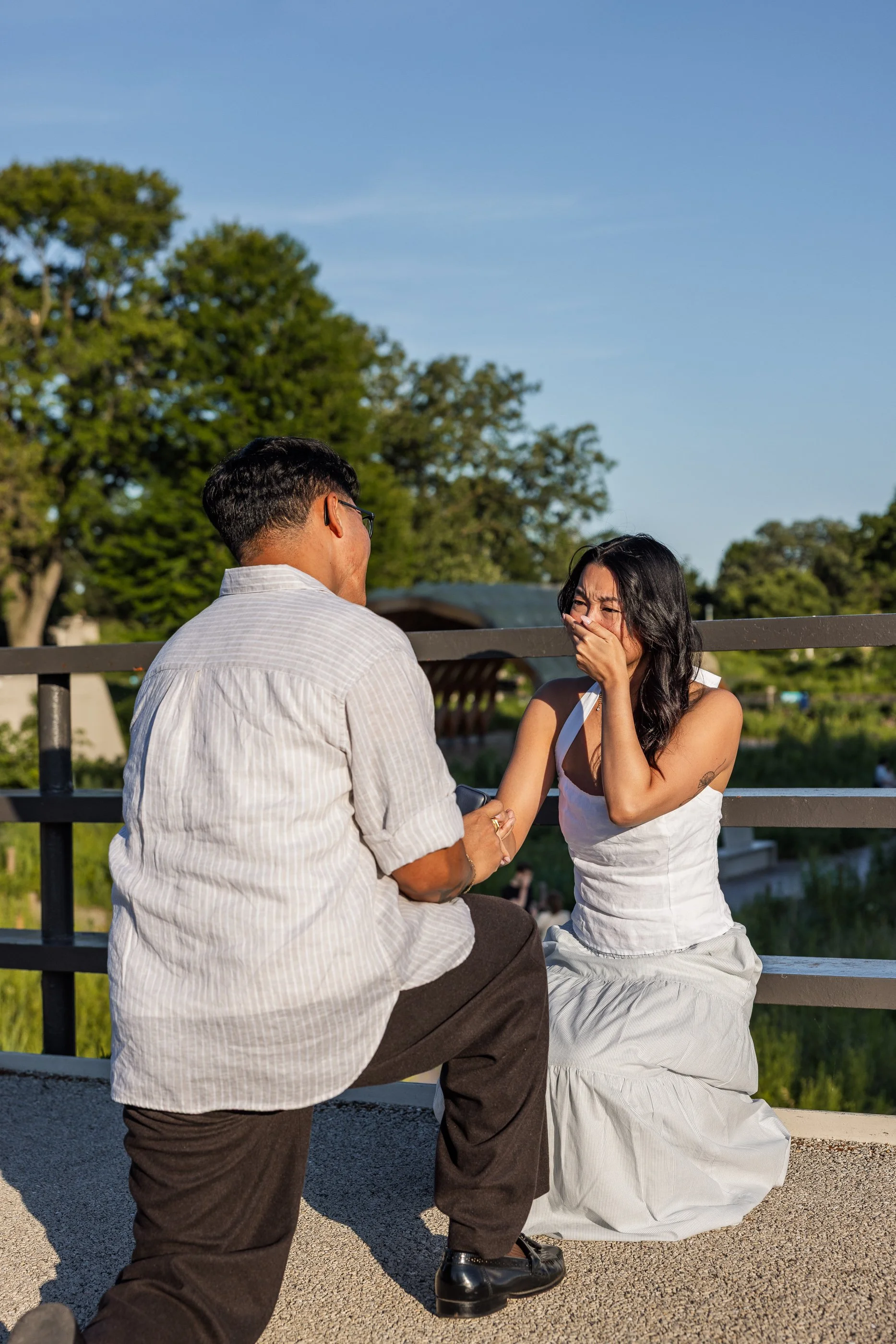 Alex Maldonado Photography-Lincoln-Park-Propsal-summer-goldenhour 260623-8.jpg