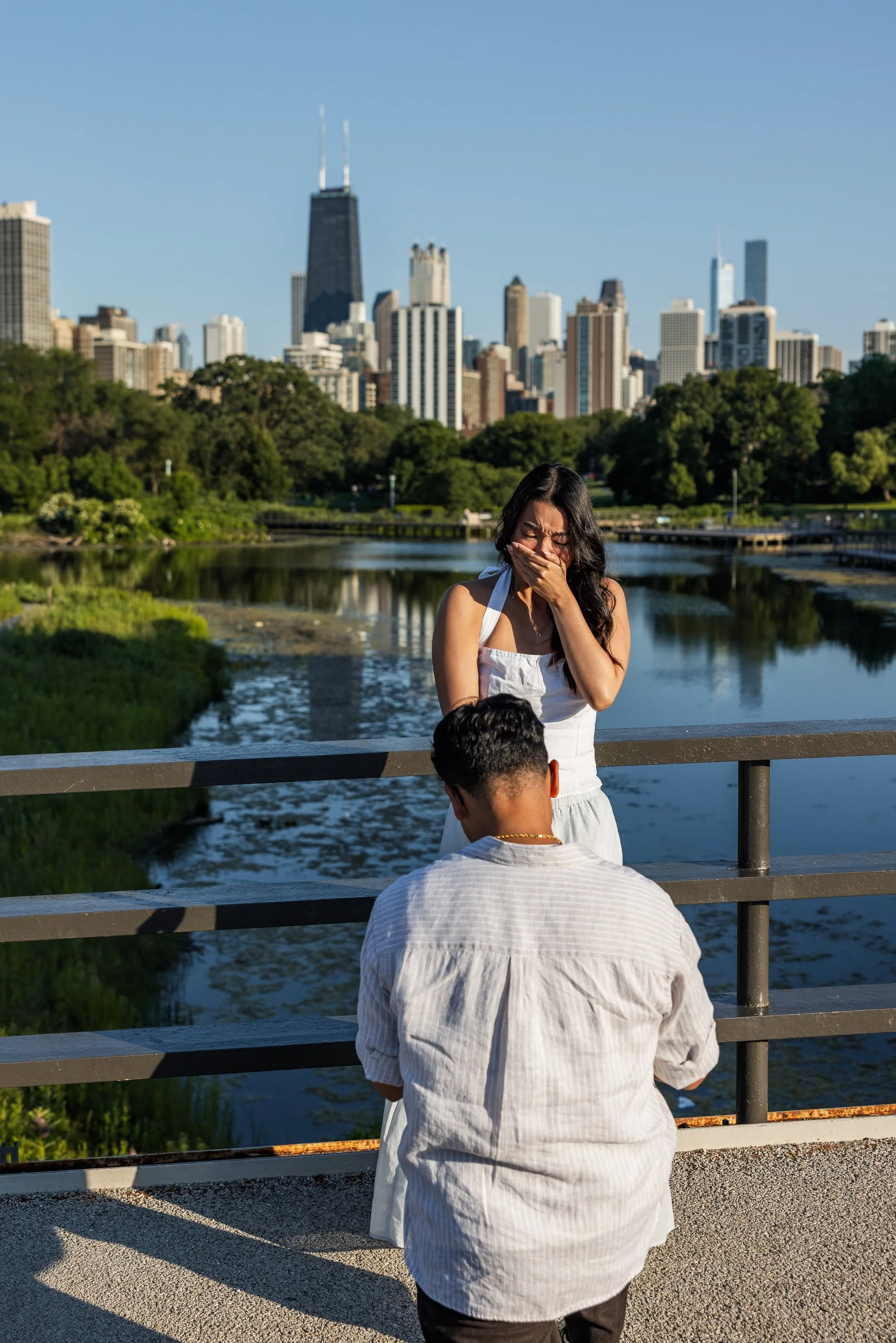 Alex Maldonado Photography-Lincoln-Park-Propsal-summer-goldenhour 260623-9.jpg
