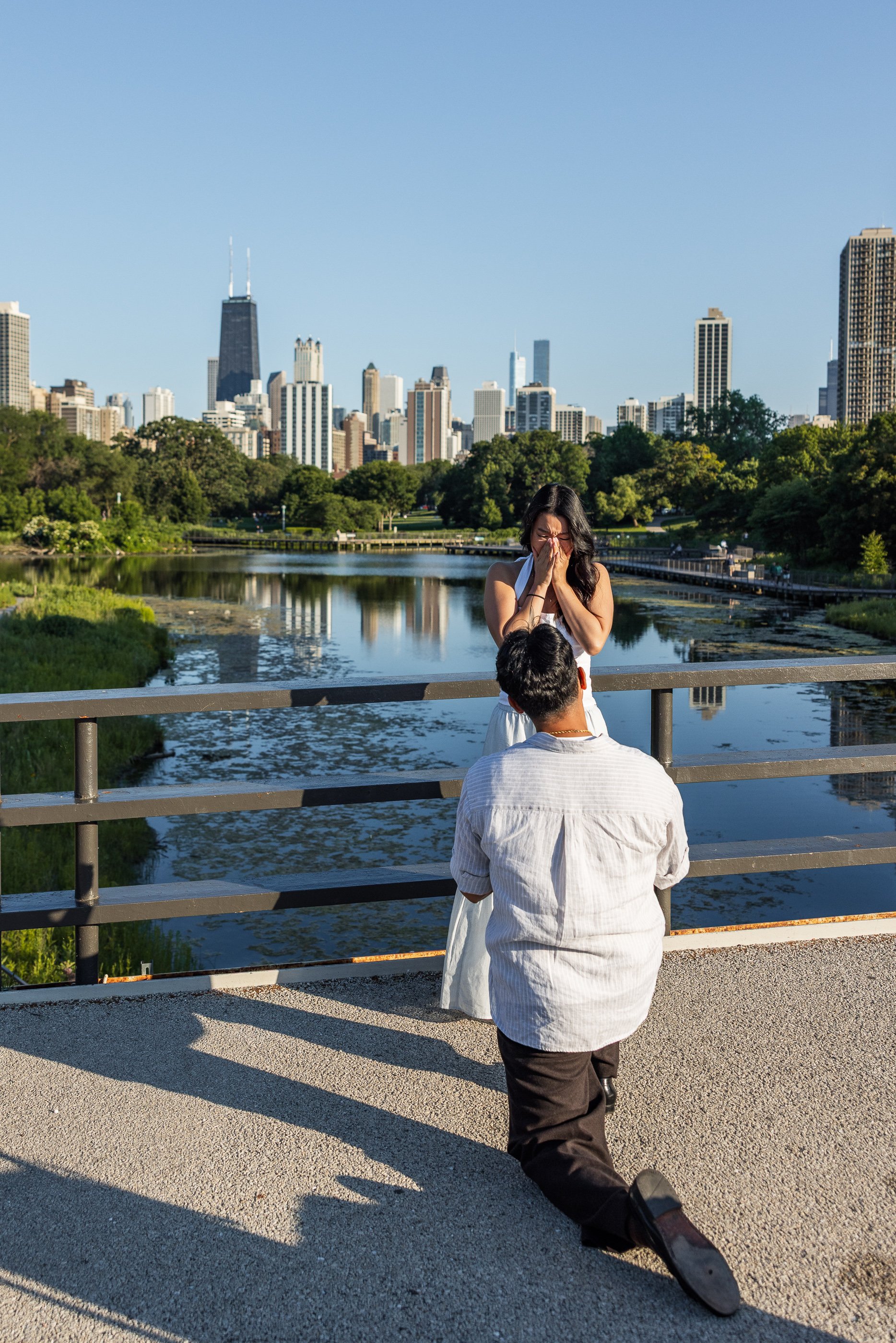 Alex Maldonado Photography-Lincoln-Park-Propsal-summer-goldenhour 260623-10.jpg