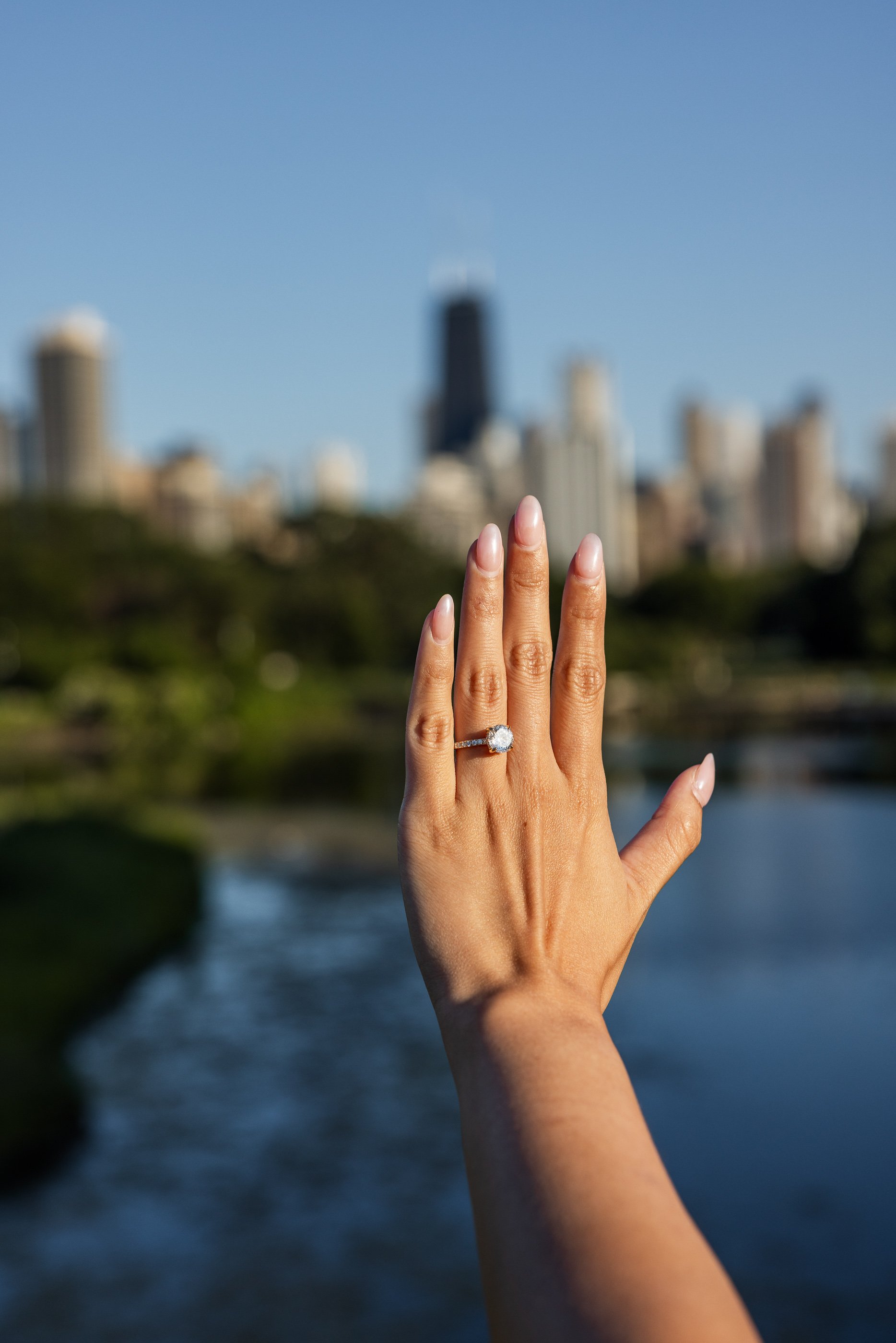 Alex Maldonado Photography-Lincoln-Park-Propsal-summer-goldenhour 260623-20.jpg