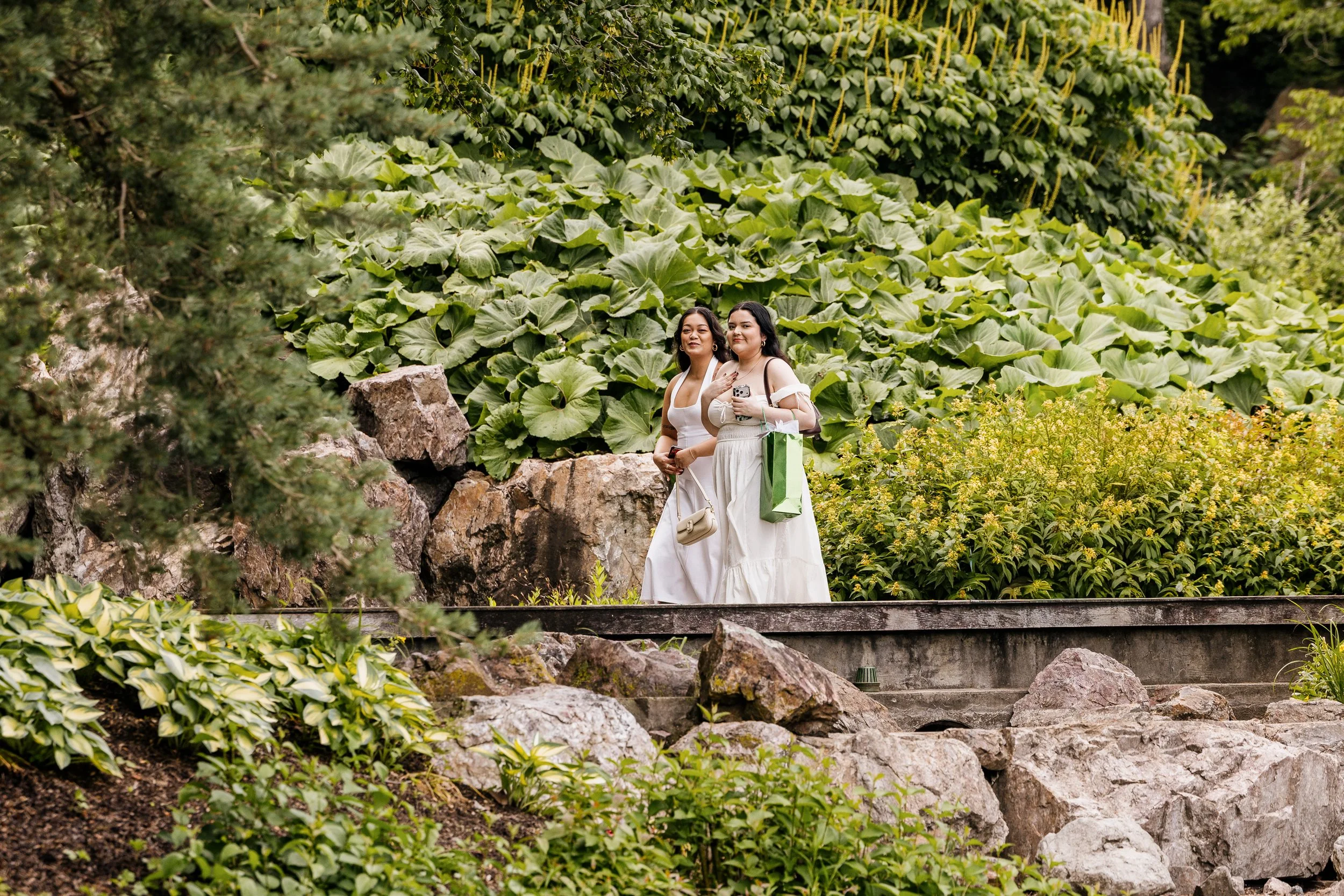 Alex Maldonado Photography- Brandon + Donna - Chicago Botanic Garden Proposal 260628-2.jpg