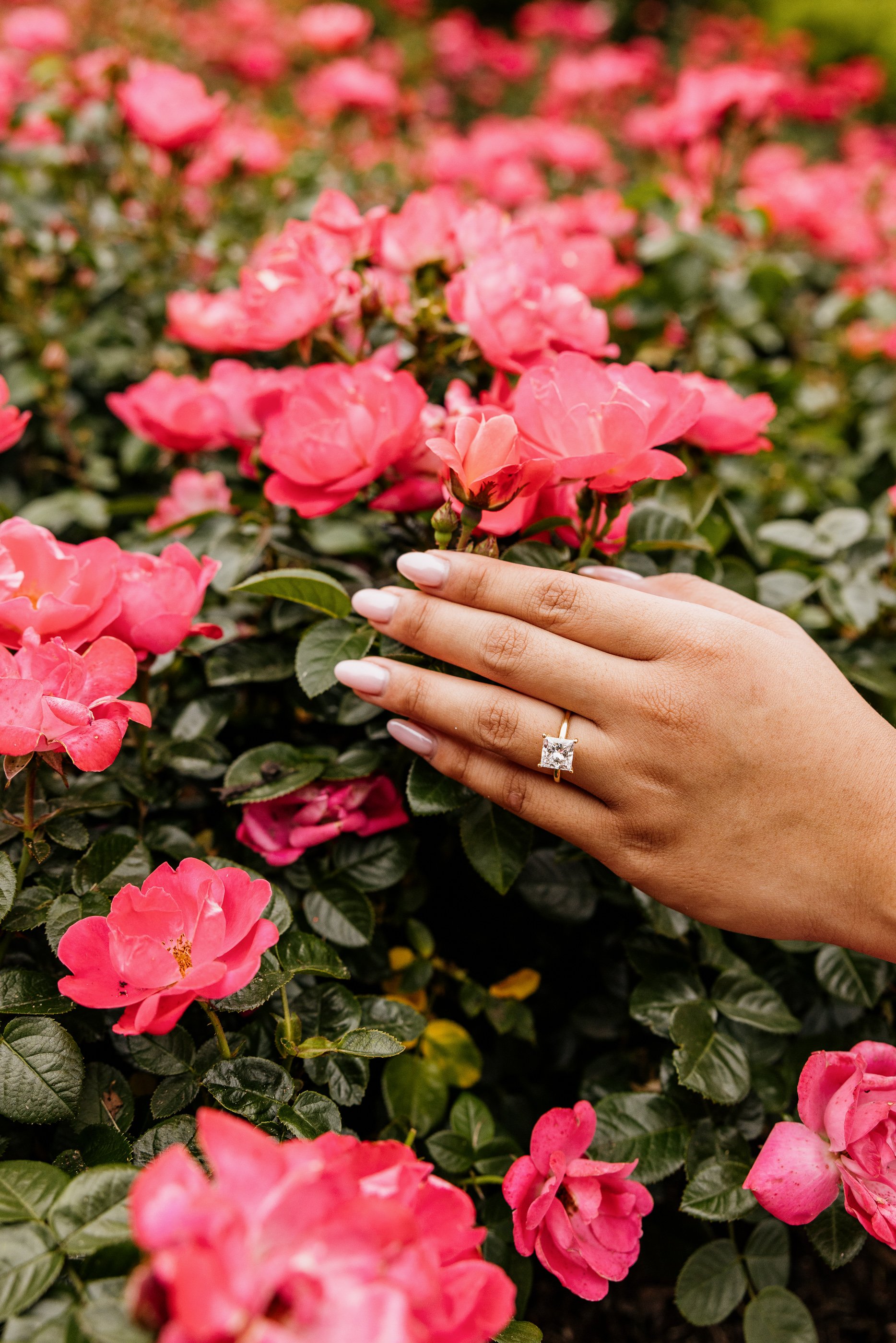 Alex Maldonado Photography- Brandon + Donna - Chicago Botanic Garden Proposal 260628-58.jpg