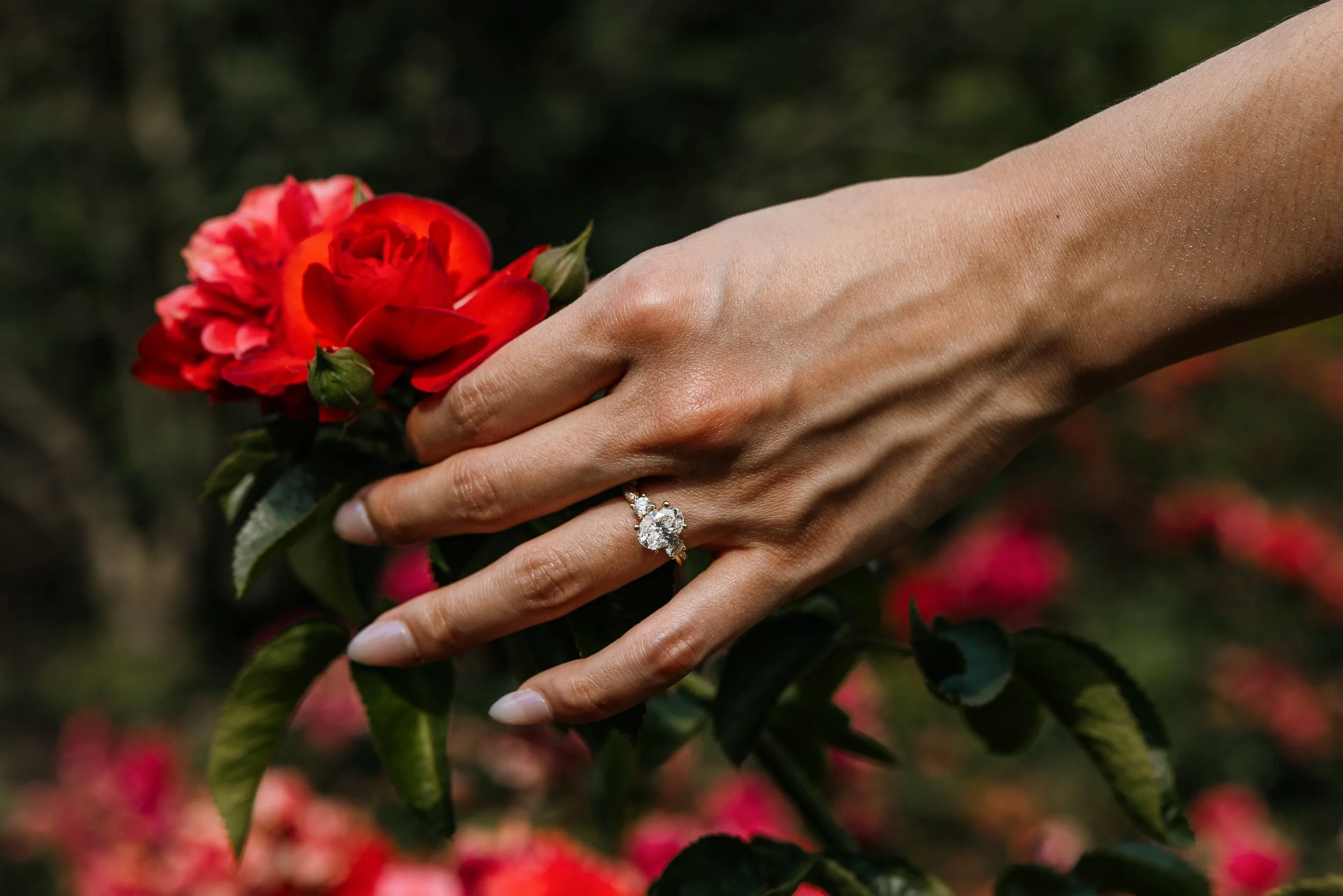 Alex Maldonado Photography-Triet + Catharina - Chicago Botanic Garden260724-53.jpg