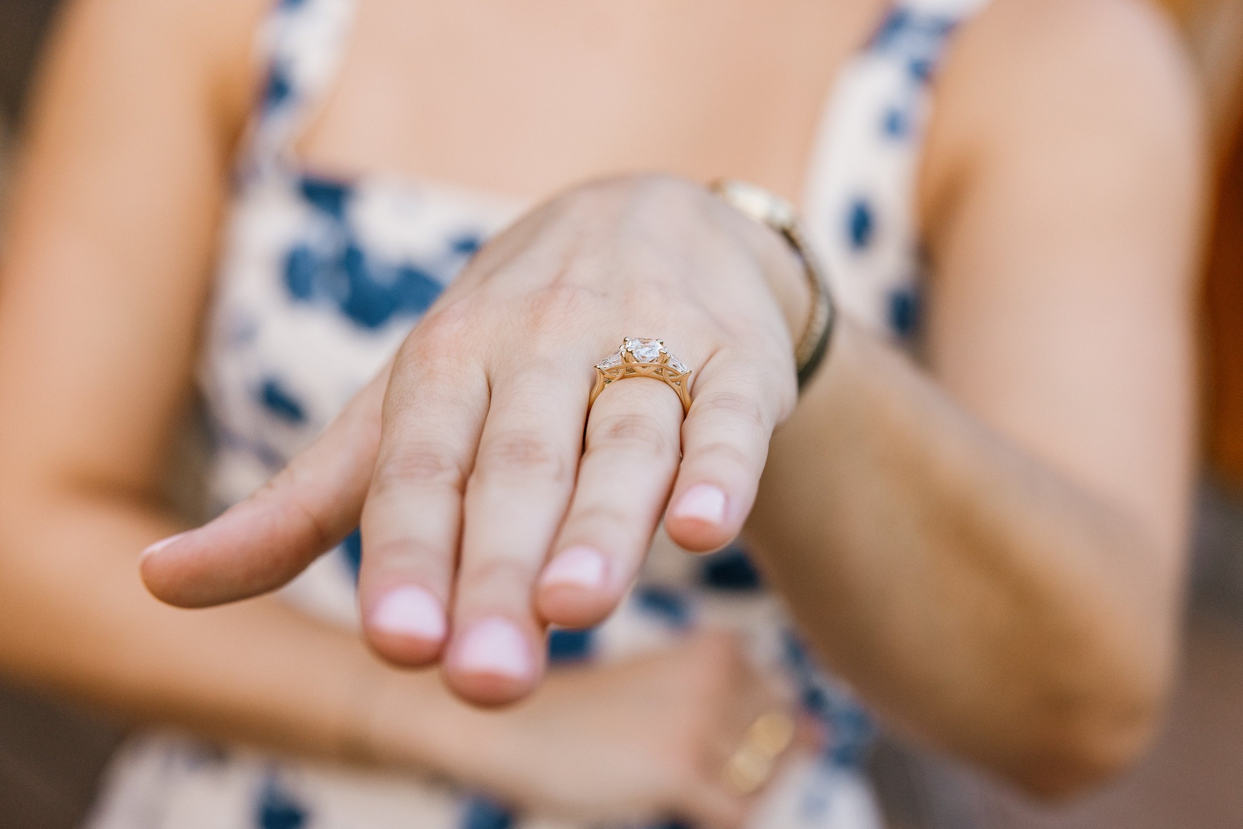 Alex Maldonado Photography- Zachary + Emma - Bridge Over South Pond Proposal 260807-39.jpg