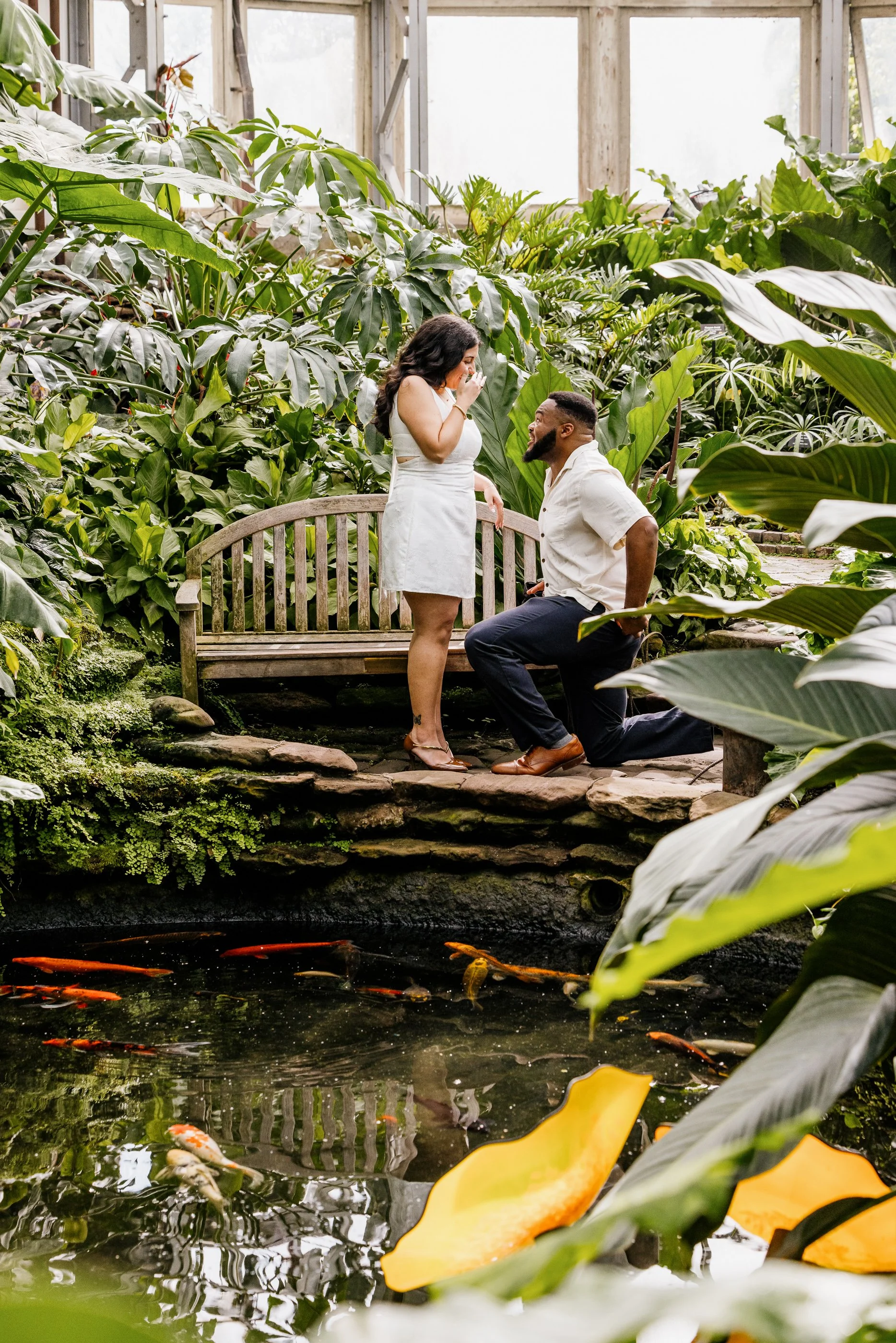 Alex Maldonado Photography-Garfield Park Conservatory Proposal Bench Aroid Room 260808-6.jpg