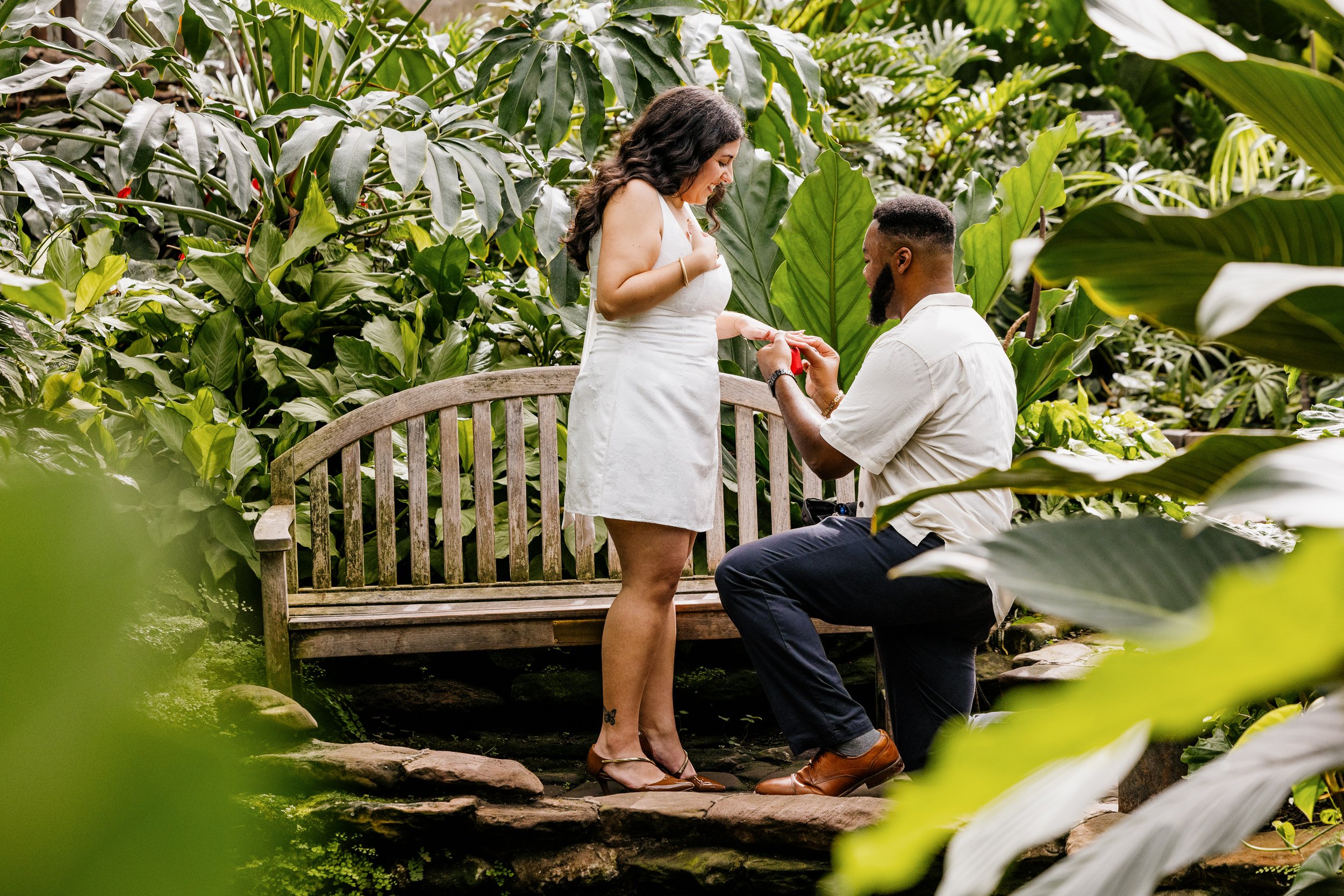 Alex Maldonado Photography-Garfield Park Conservatory Proposal Bench Aroid Room 260808-10.jpg