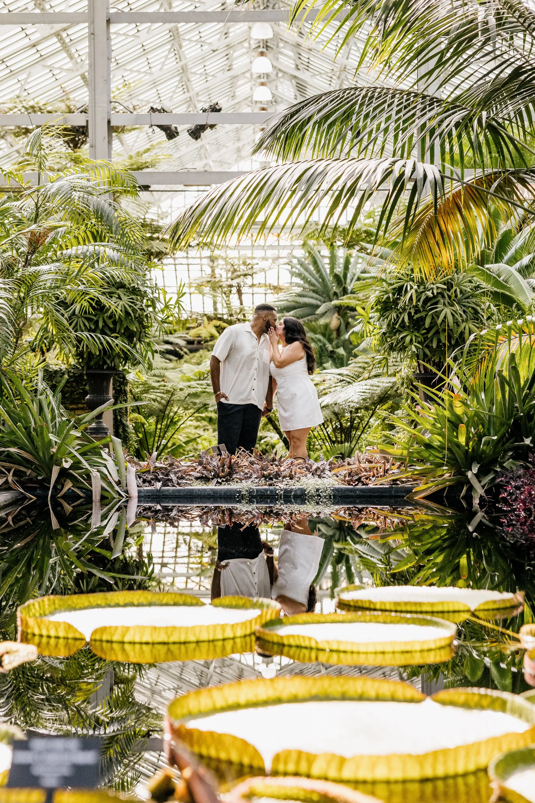 Alex Maldonado Photography-Garfield Park Conservatory Proposal Bench Aroid Room 260808-25.jpg