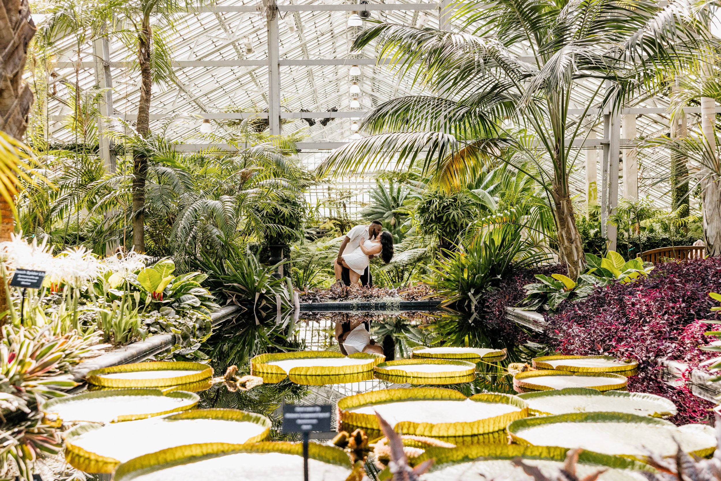 Alex Maldonado Photography-Garfield Park Conservatory Proposal Bench Aroid Room 260808-27.jpg