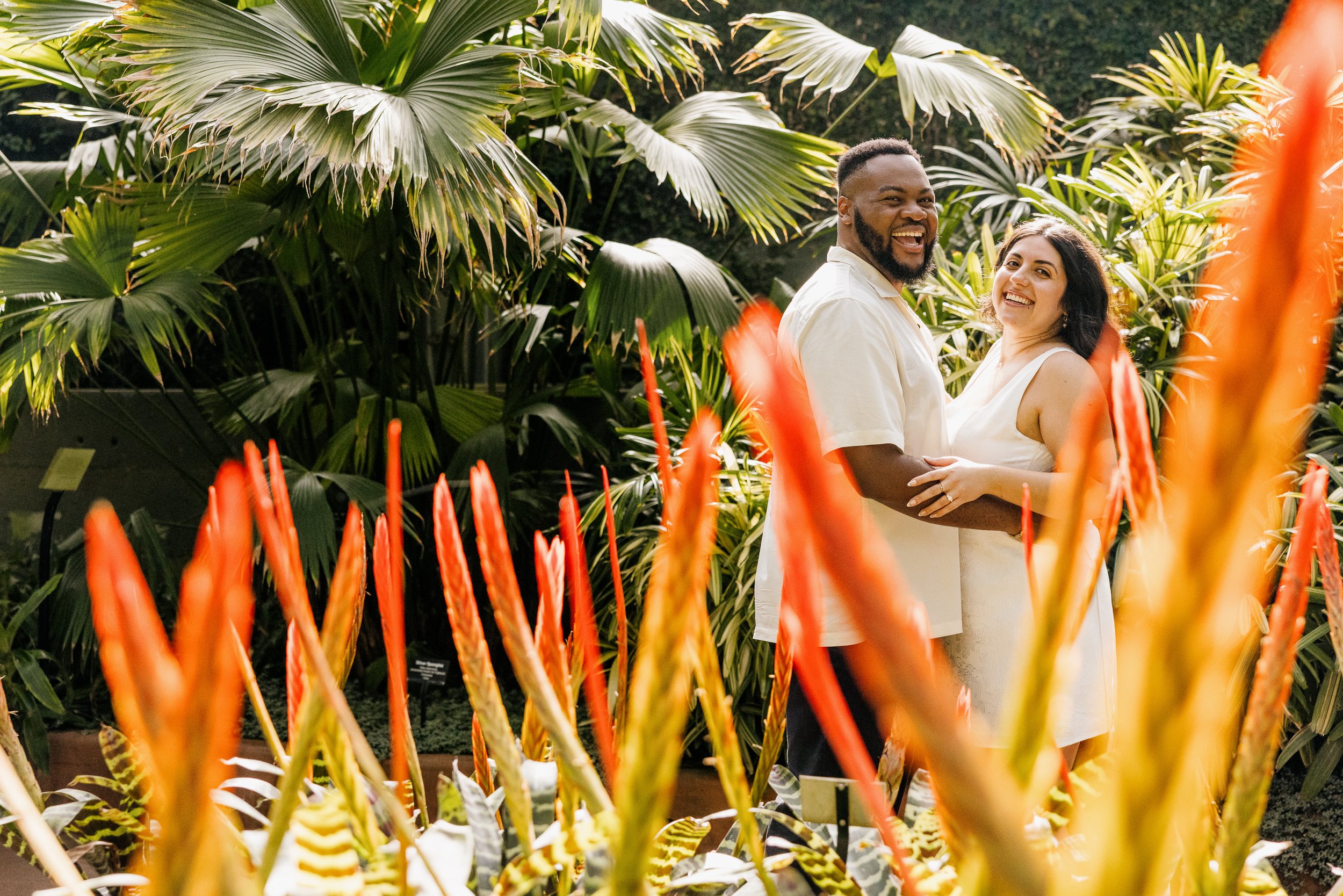 Alex Maldonado Photography-Garfield Park Conservatory Proposal Bench Aroid Room 260808-28.jpg