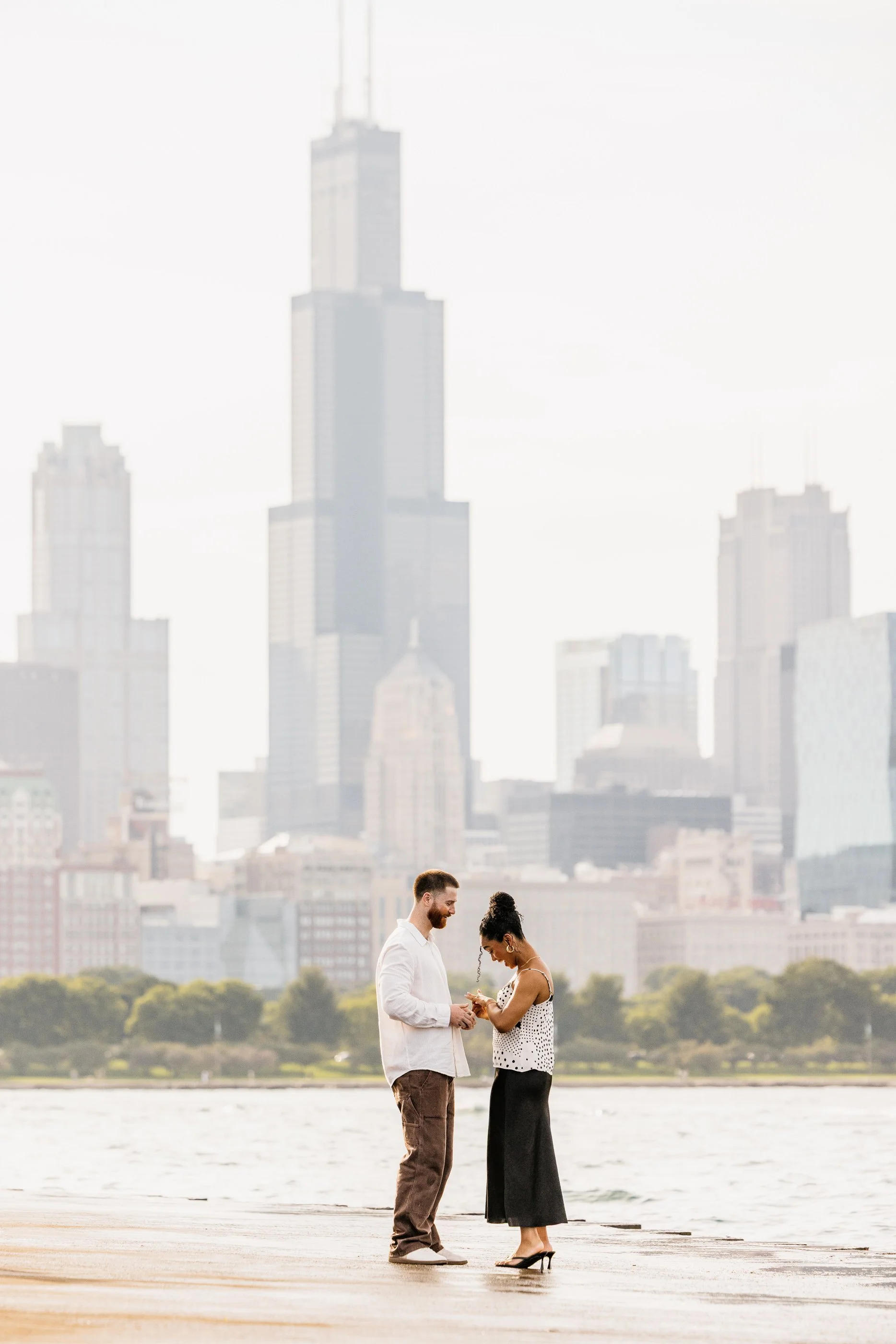 Alex Maldonado Photography- Adler Planetarium proposal lake skyline 260816-9.jpg