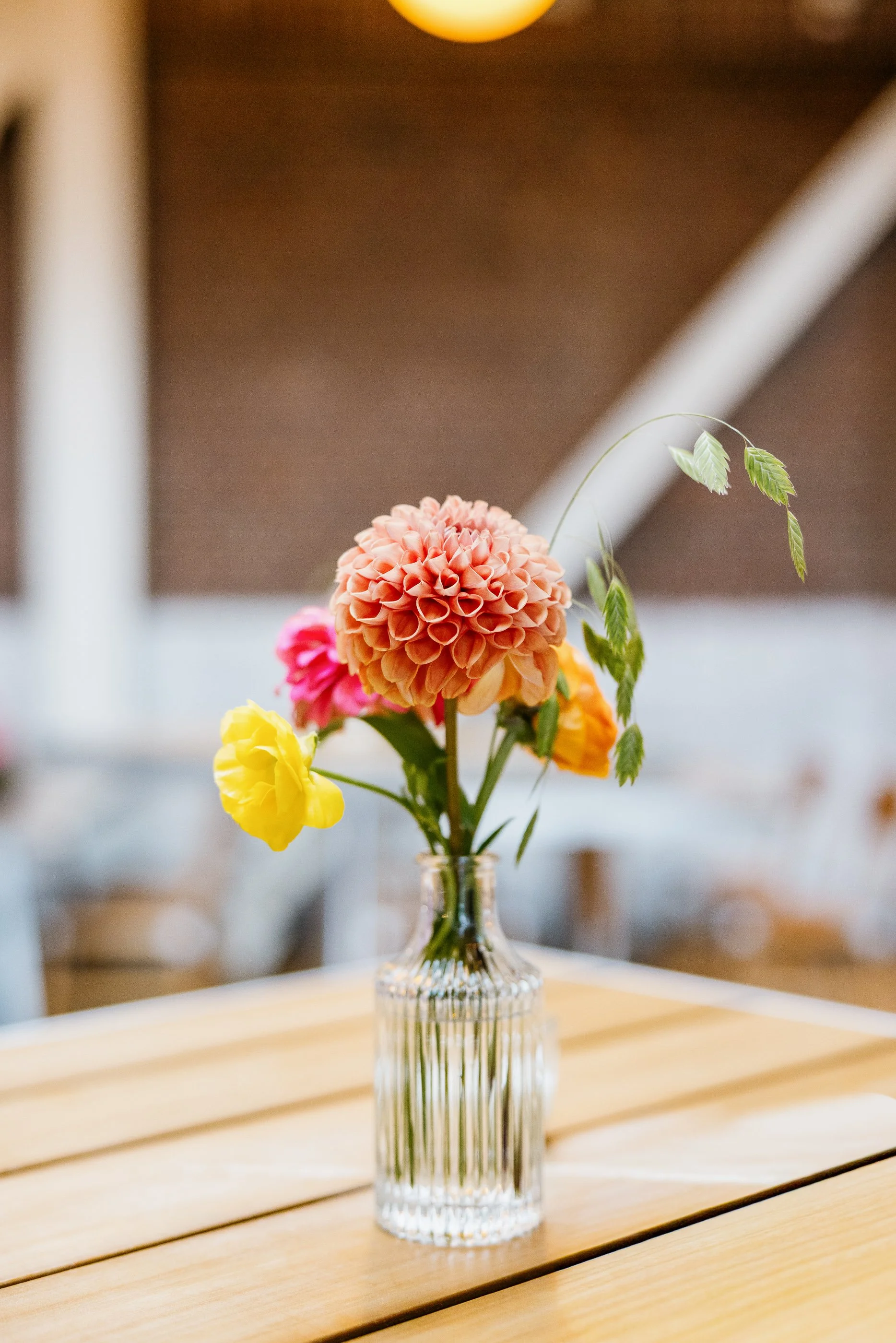Alex Maldonado Photography - Cindy's Rooftop wedding elopement John Grace 260815-2.jpg