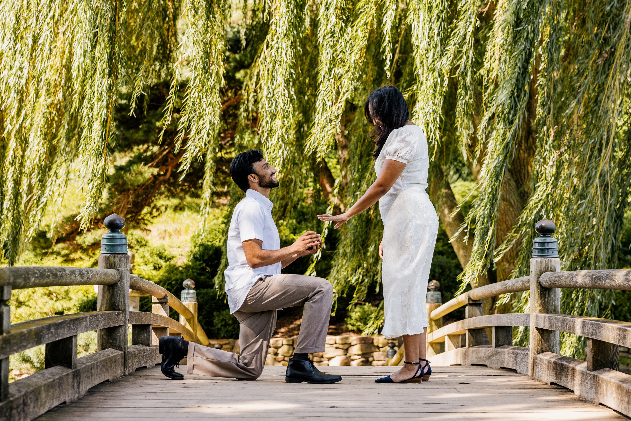 Alex Maldonado Photography- Japanese Garden Bridge, Chicago Botanic Garden proposal 260820-7.jpg