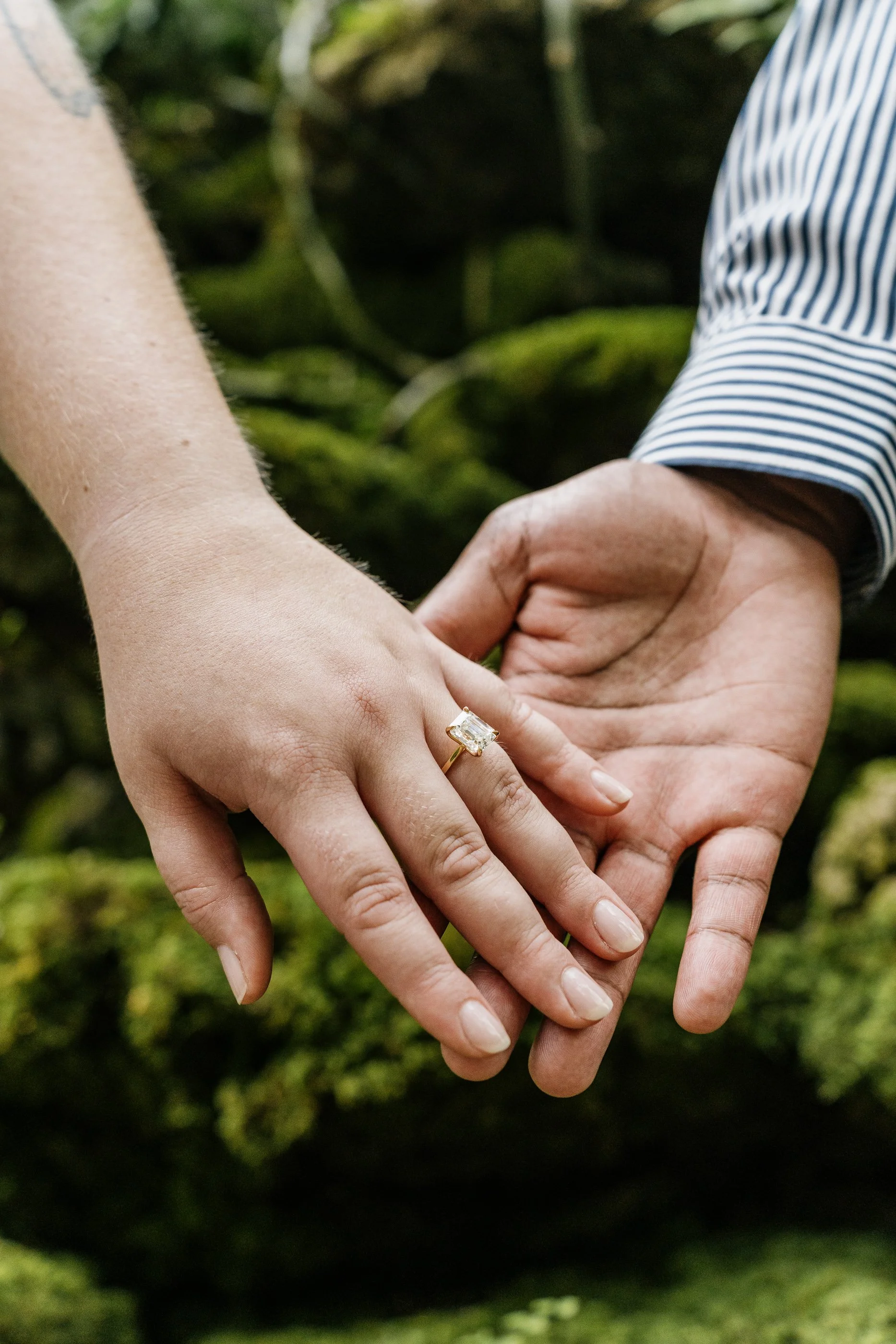 Alex Maldonado Photography- Garfield Park Conservatory Fern Room Proposal 260822-52.jpg