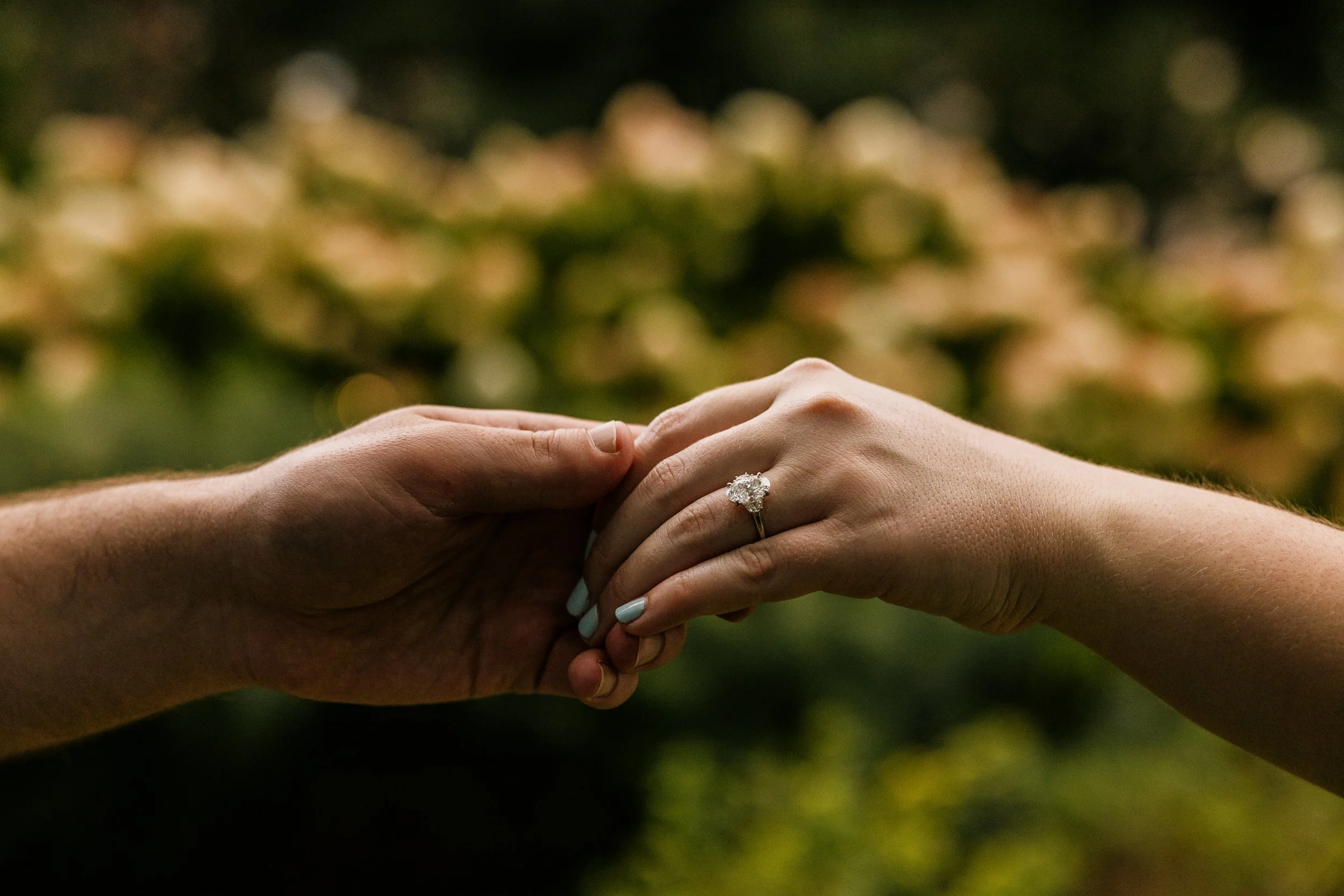 Alex Maldonado Photography- Grant Park Formal Gardens pinic proposal260826-40.jpg